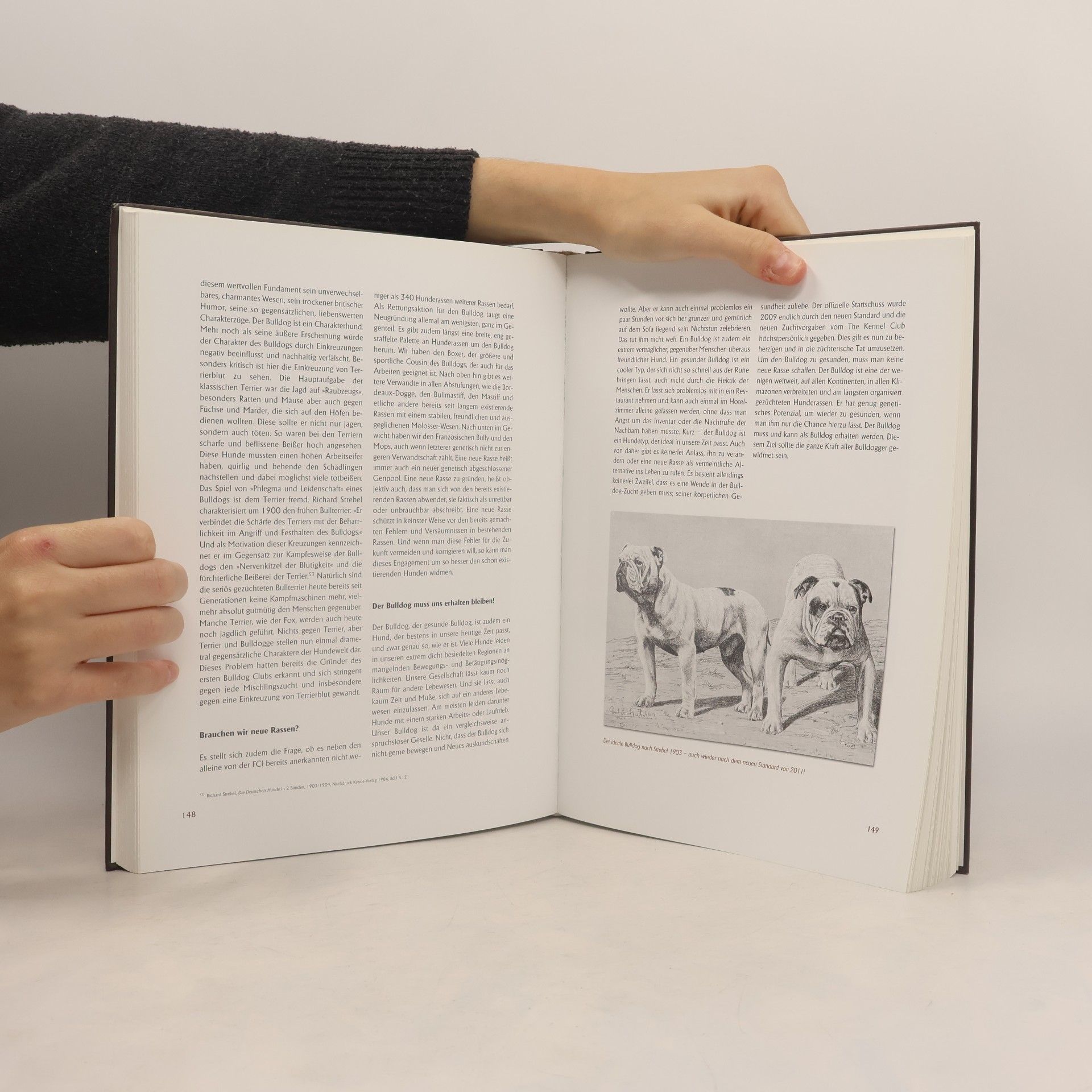 Christoph Jung Bulldogs in Geschichte und Gegenwart