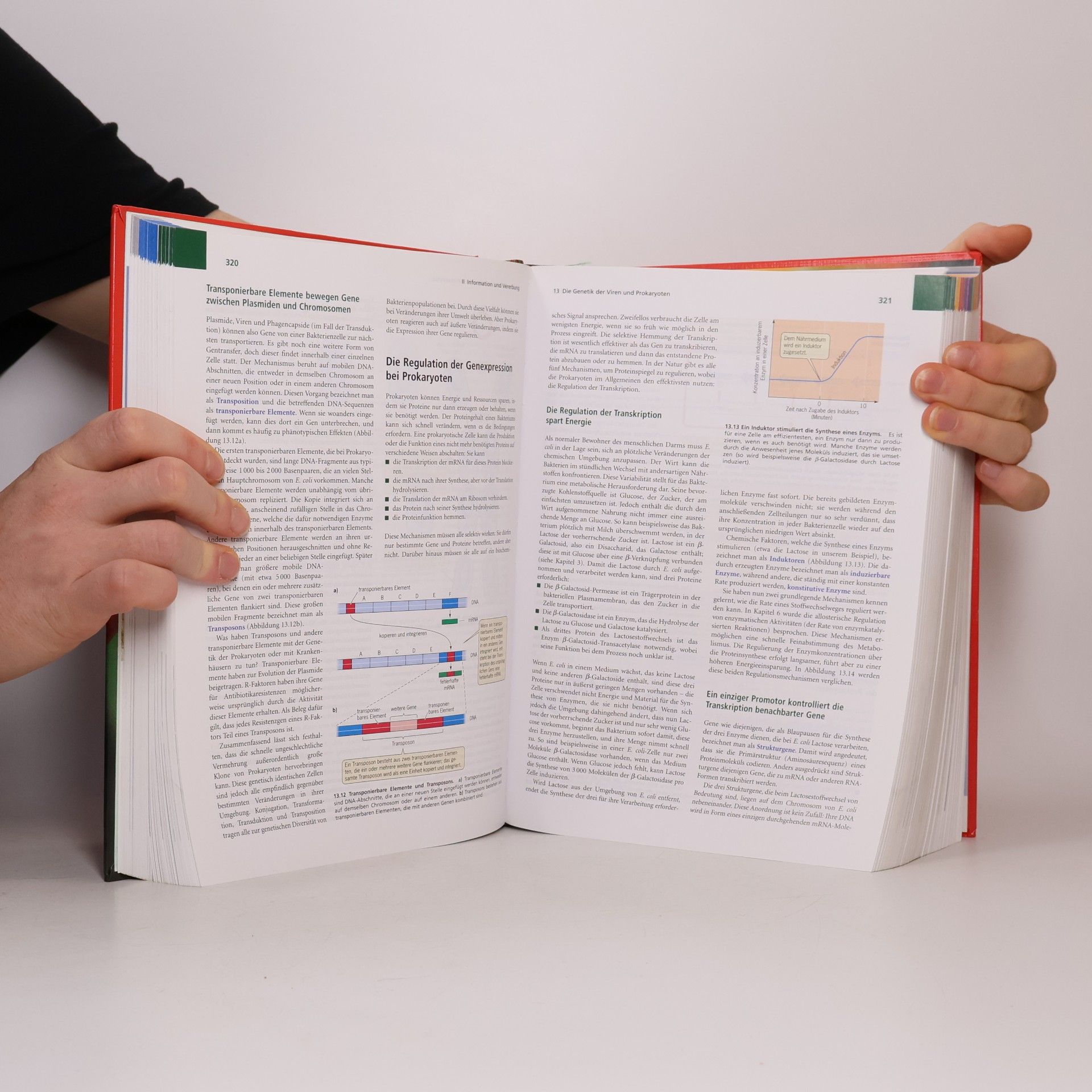 David E. Sadava Biologie 7. Auflage