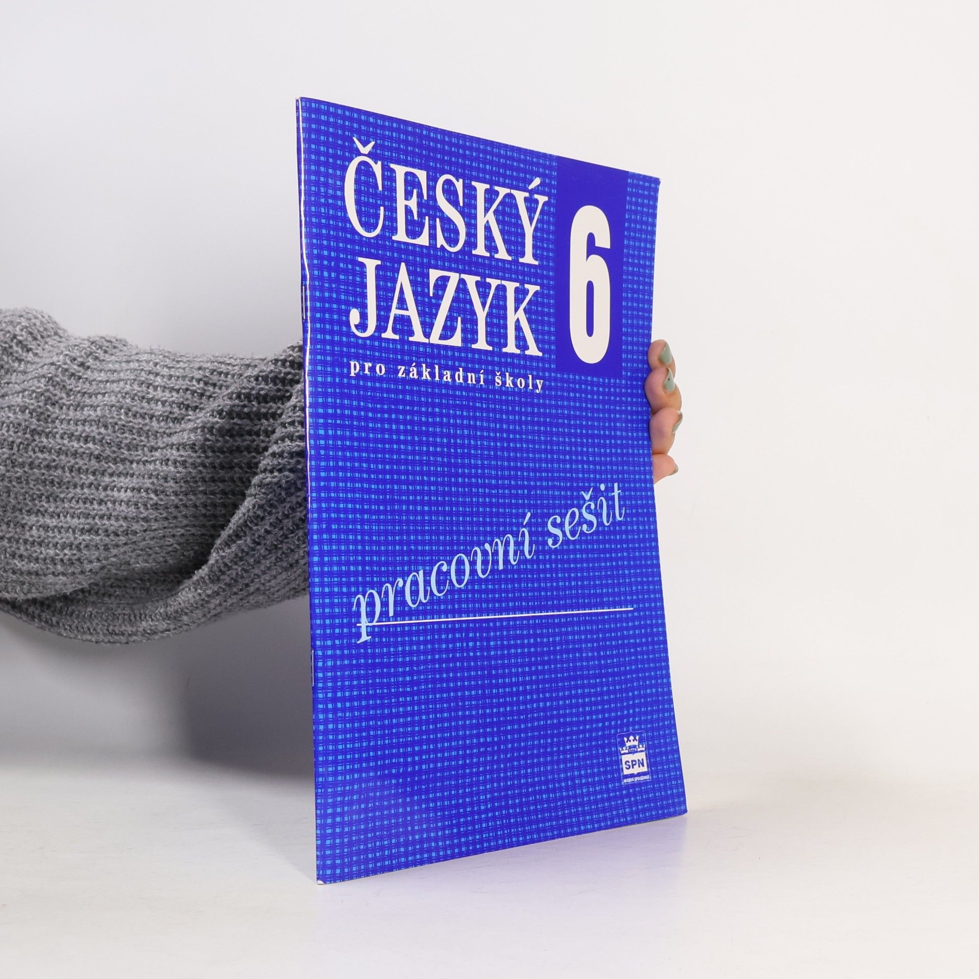Český jazyk 6 pro základní školy : pracovní sešit