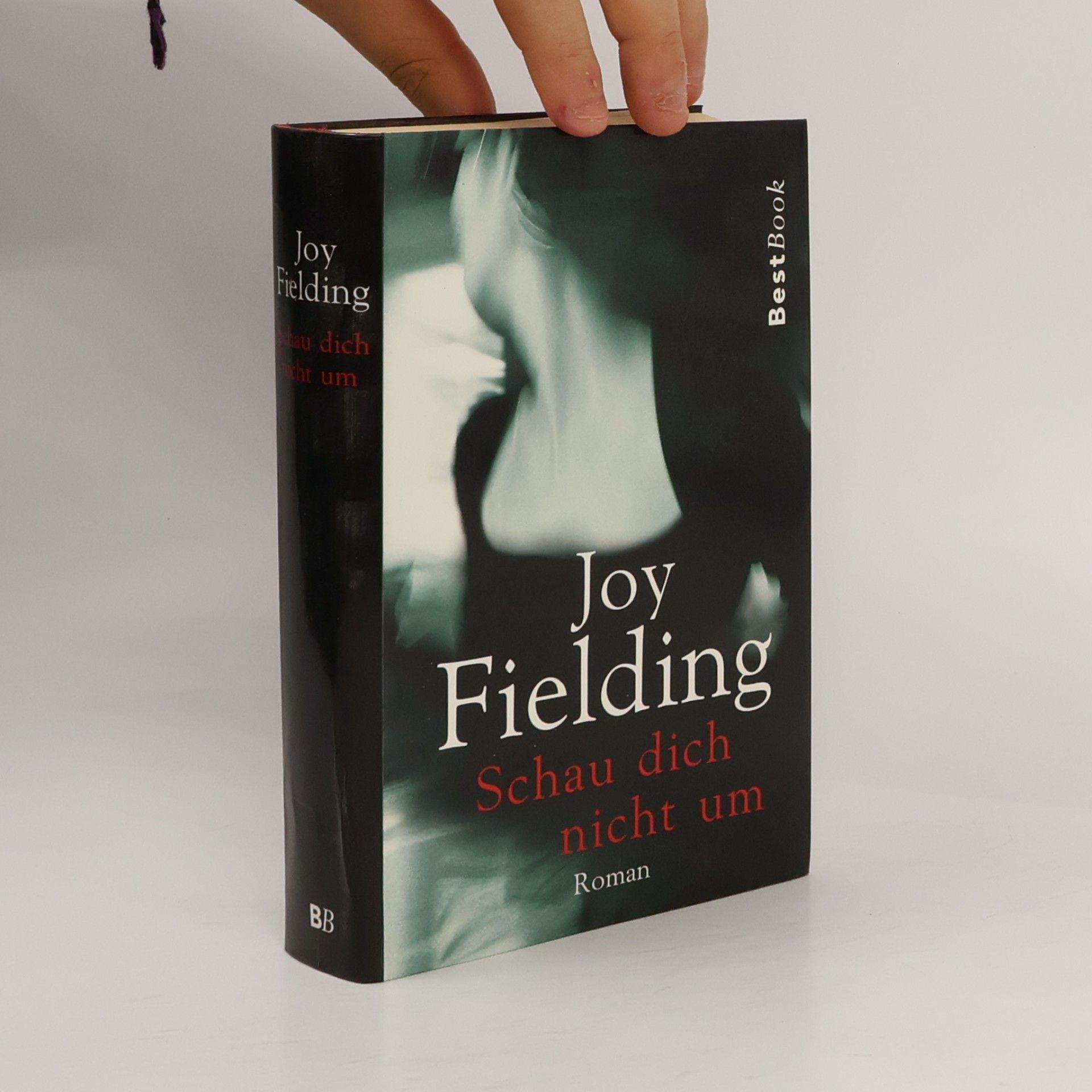 Joy Fielding Schau dich nicht um