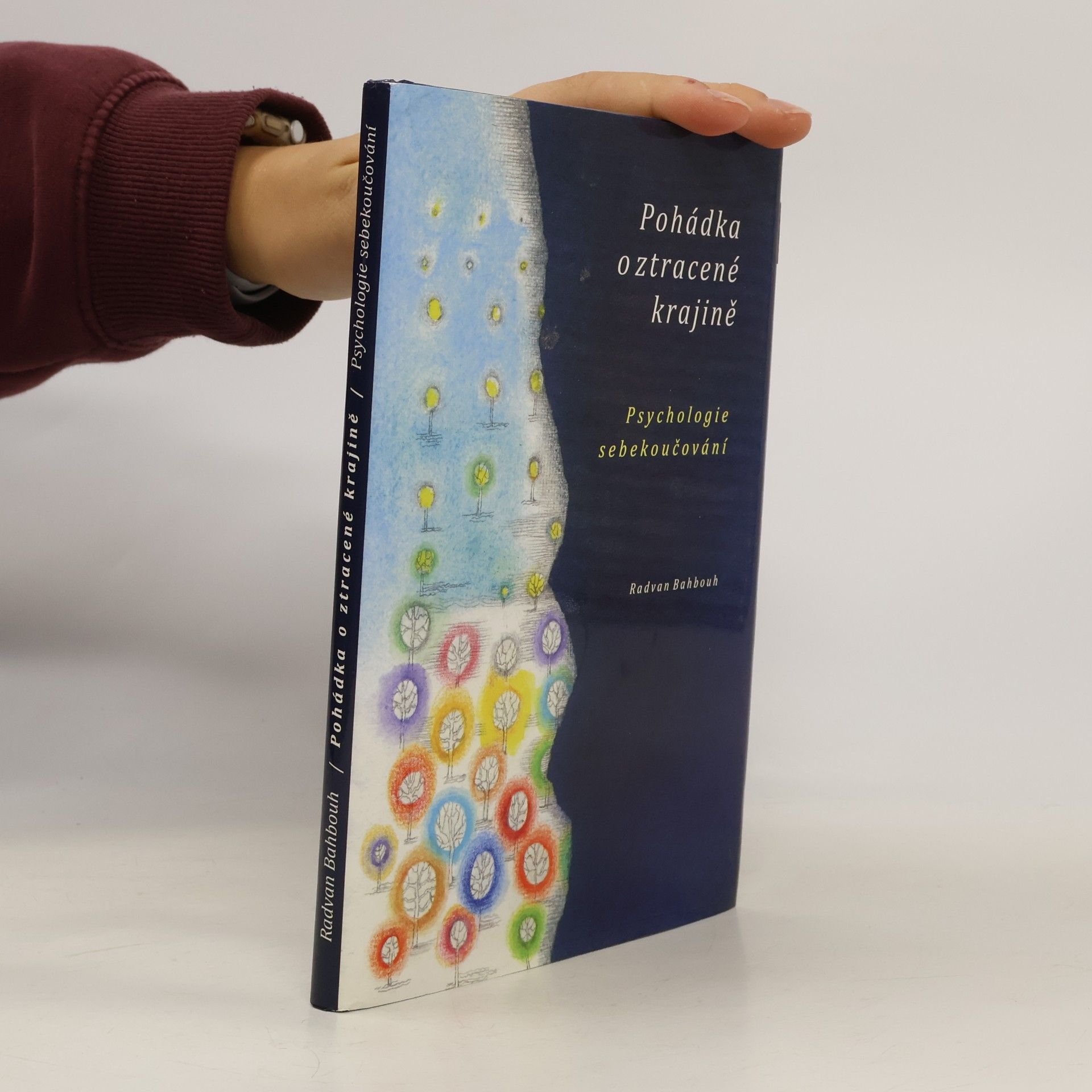 Pohádka o ztracené krajině: Psychologie sebekoučování