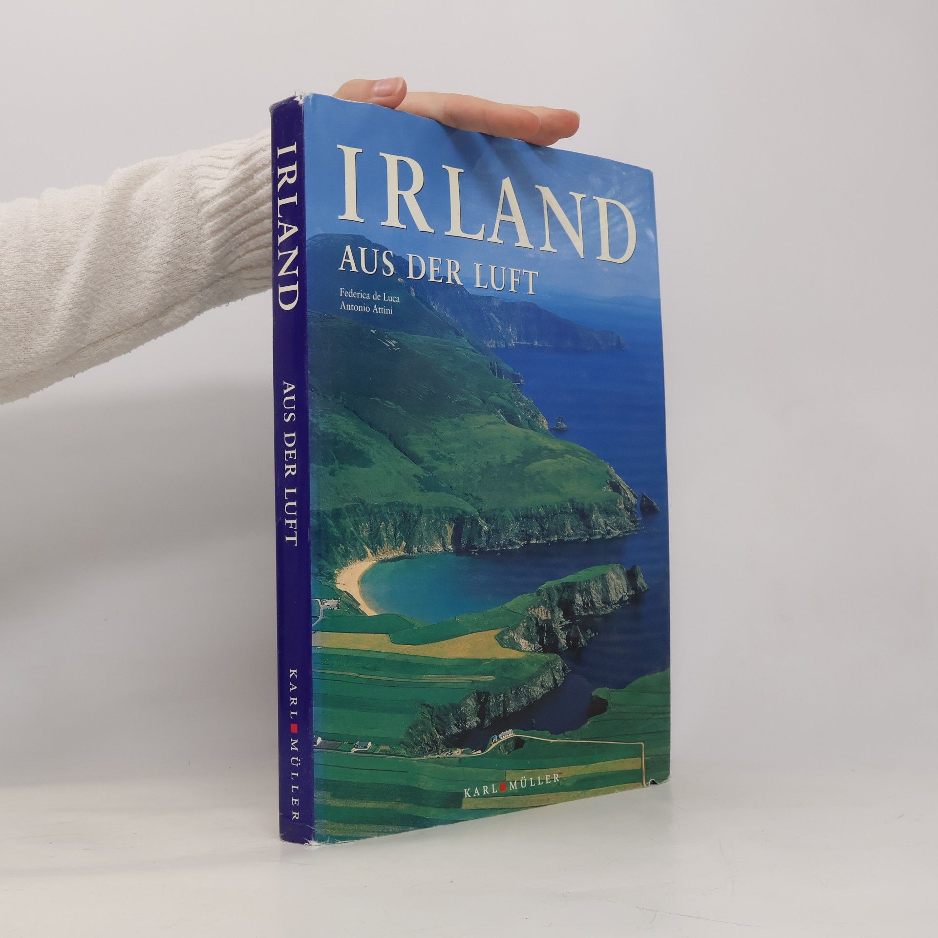 Antonio Attini Irland aus der Luft