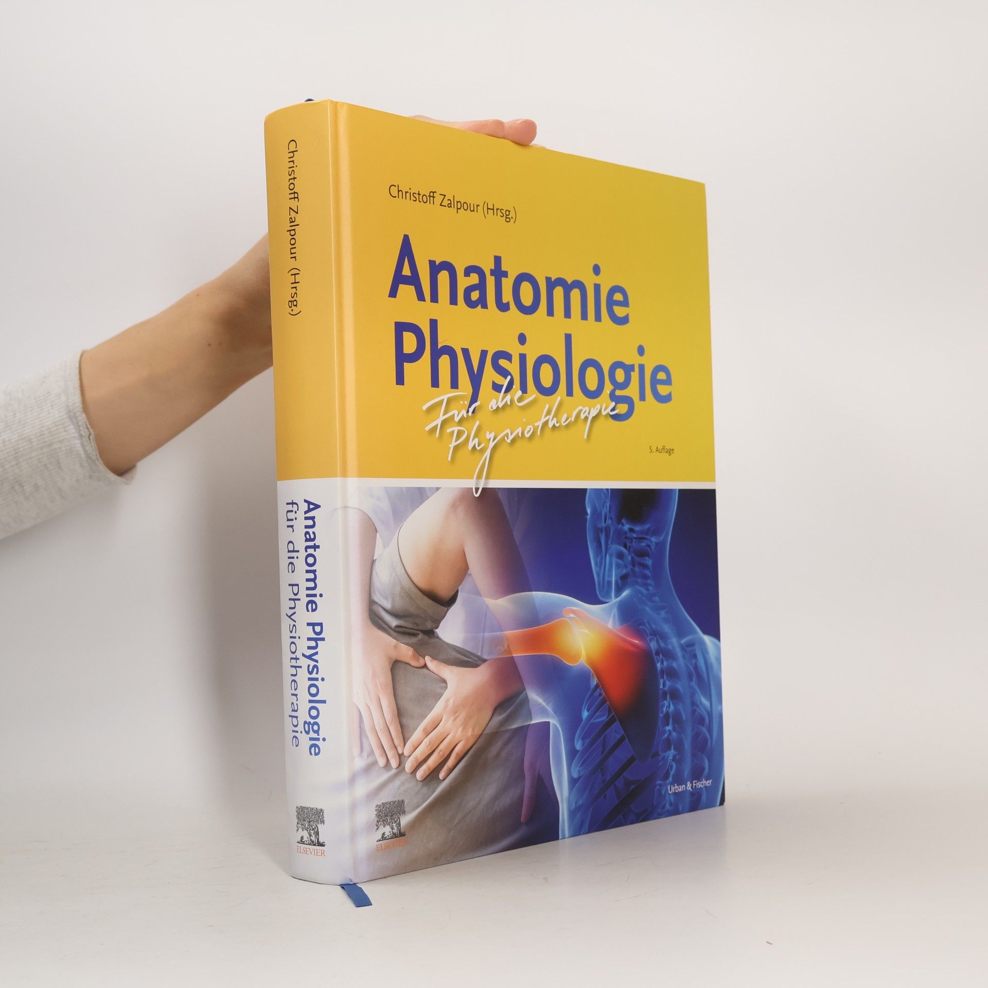 Autorenkollektiv Anatomie Physiologie für die Physiotherapie