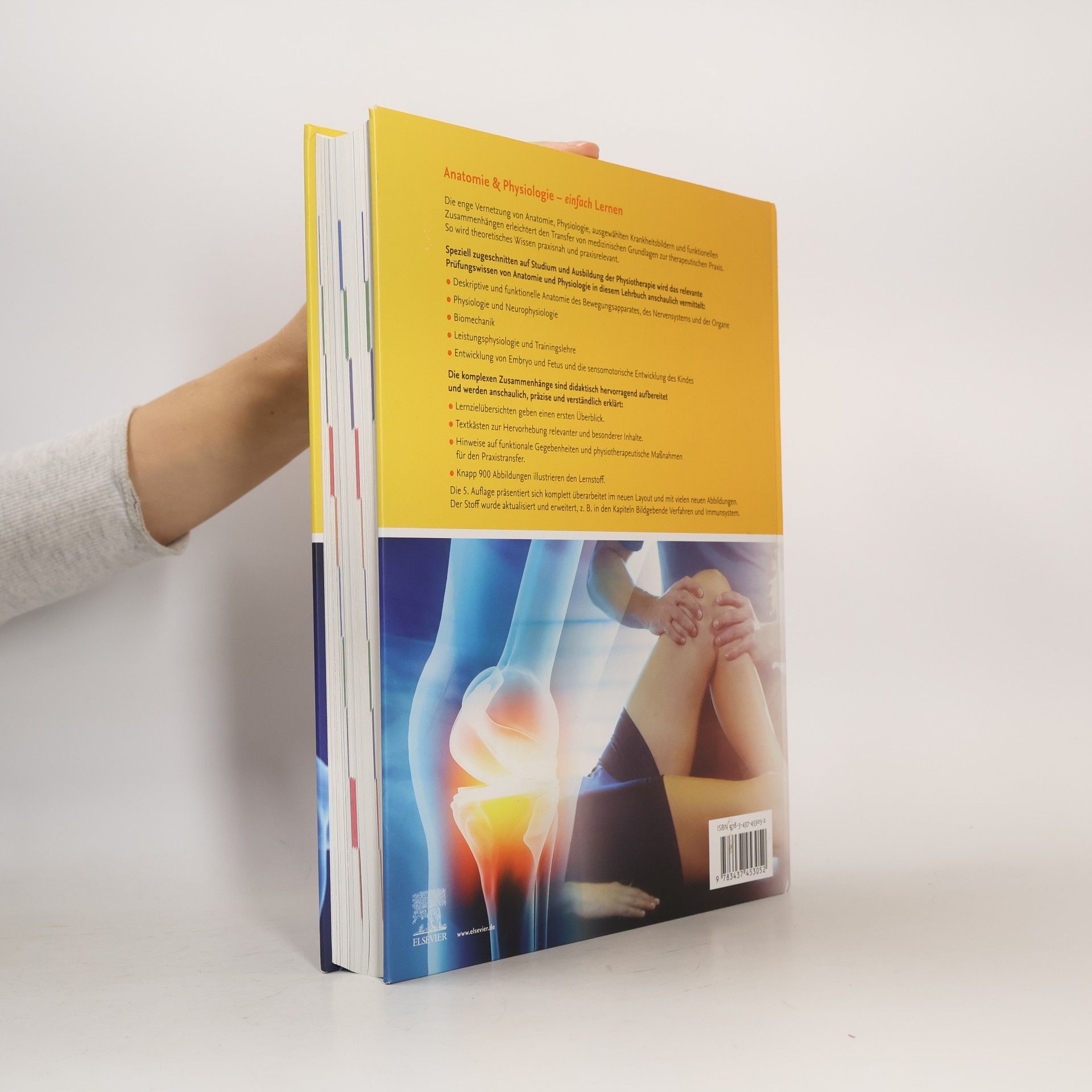 Autorenkollektiv Anatomie Physiologie für die Physiotherapie