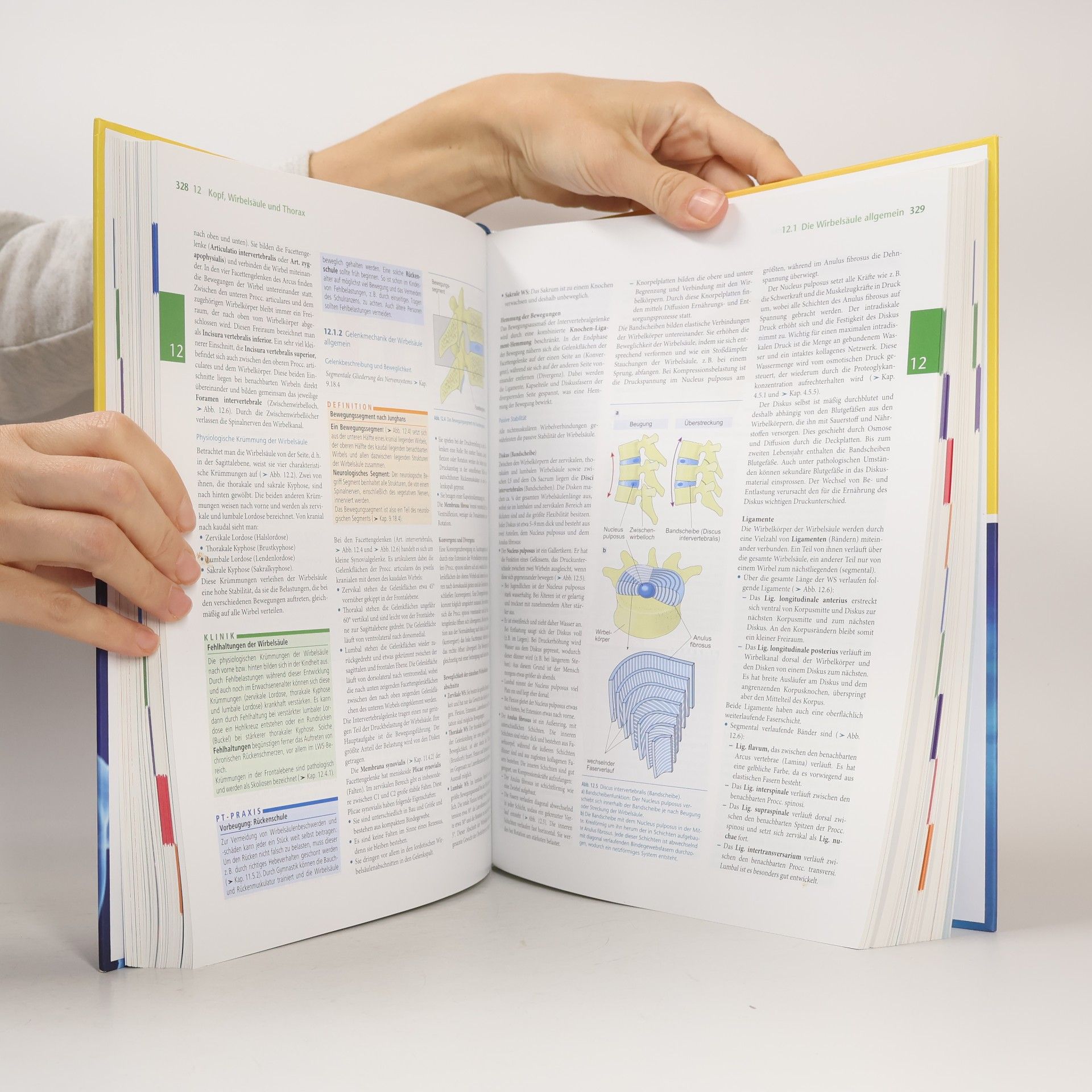 Autorenkollektiv Anatomie Physiologie für die Physiotherapie