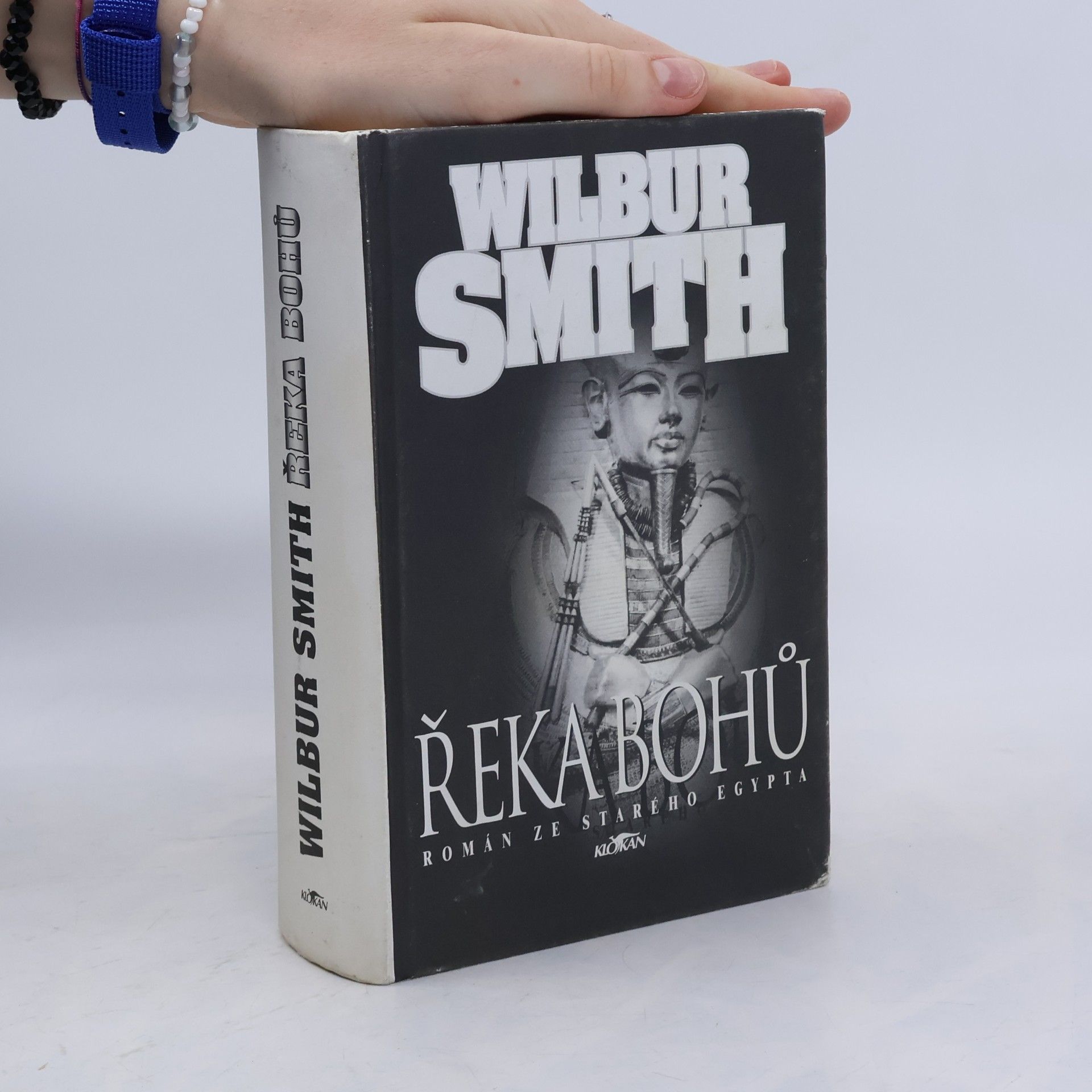Wilbur Smith Řeka bohů