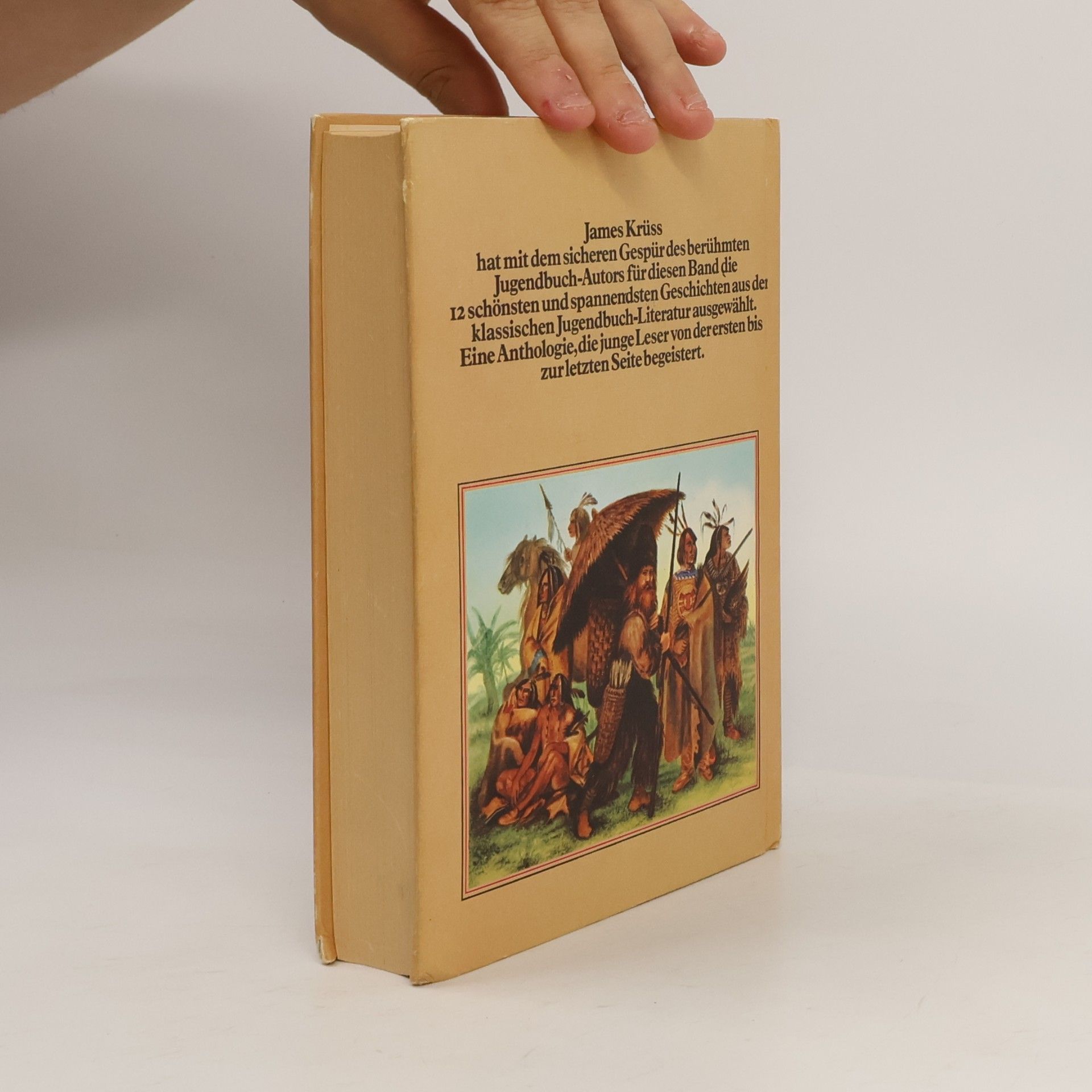 James Krüss Robinson und die Indianer. Abenteuergeschichten aus 12 berühmten Büchern