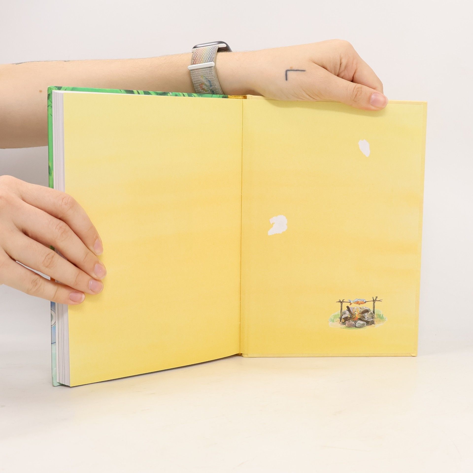 Loewe Verlag Die schönsten Leselöwen-Abenteuergeschichten, mit Hörbuch
