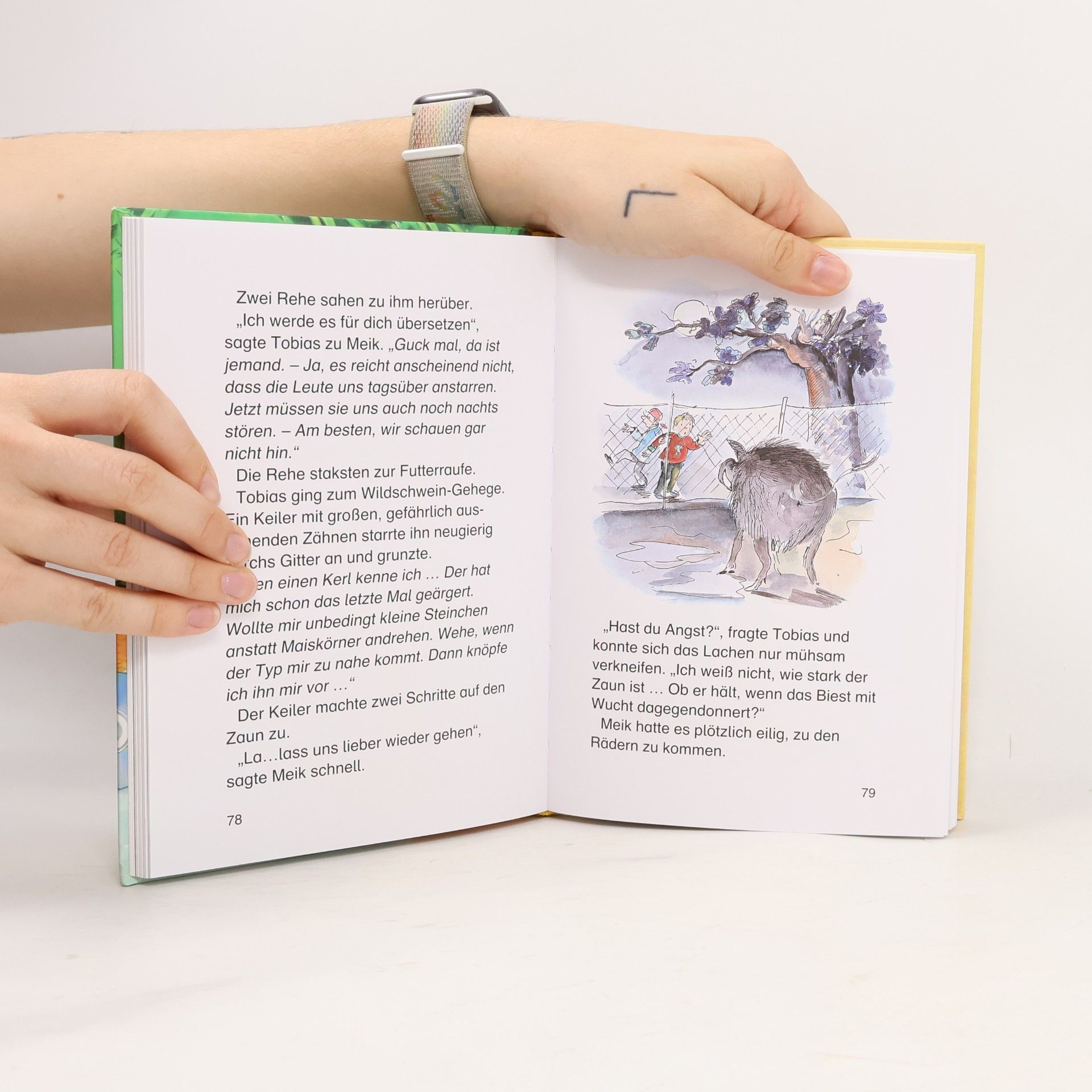 Loewe Verlag Die schönsten Leselöwen-Abenteuergeschichten, mit Hörbuch