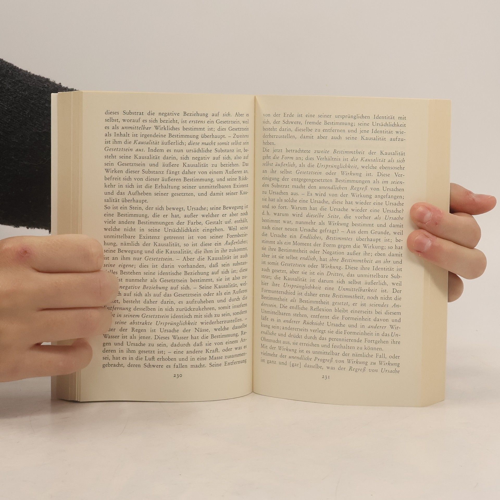 Georg Wilhelm Friedrich Hegel Werke - 6: Wissenschaft der Logik II