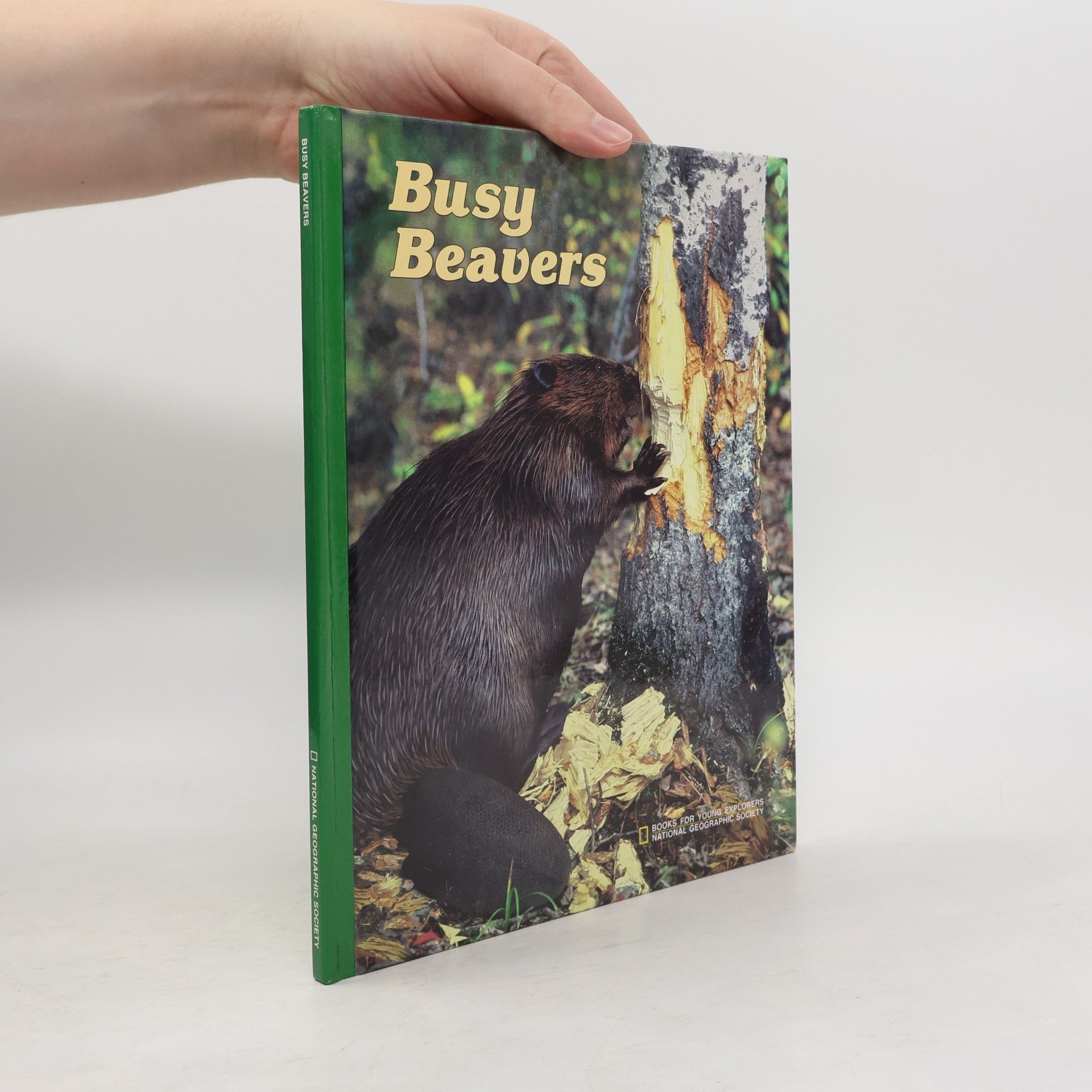 M. Barbara Brownell Books for Young Explorers: Busy Beavers