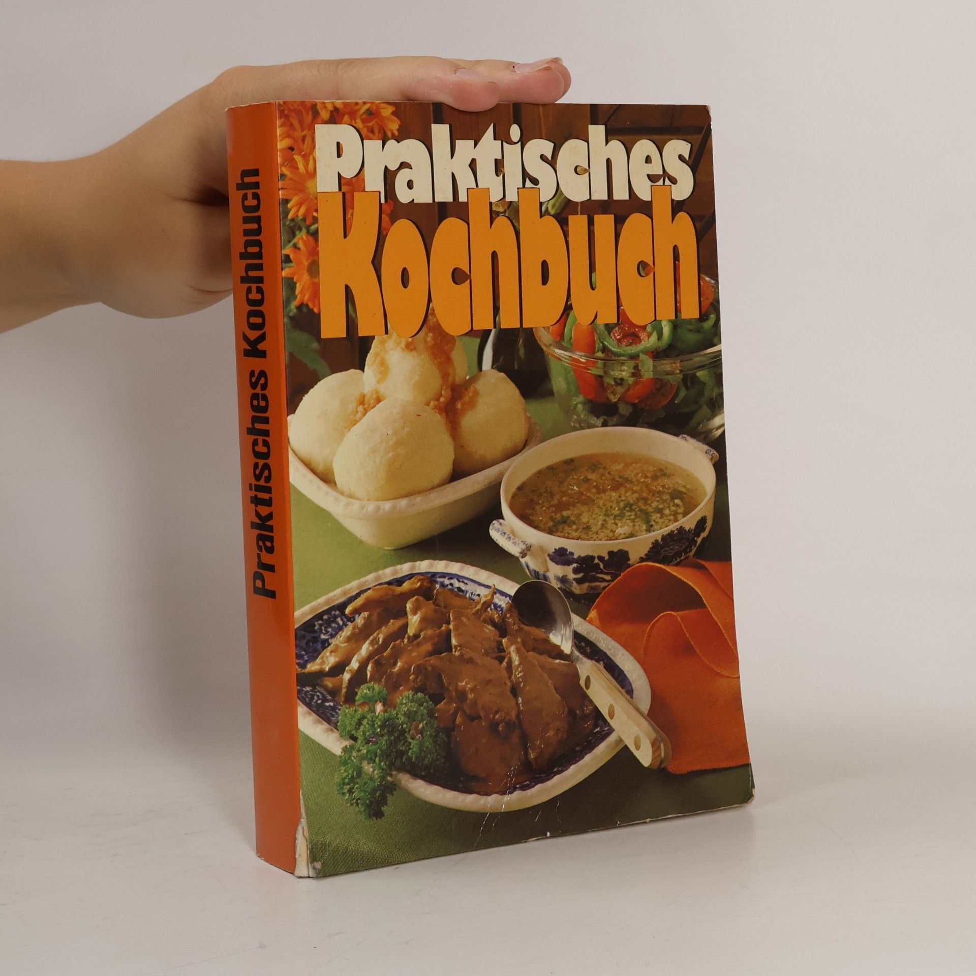 Marianne Nicolin Praktisches Kochbuch