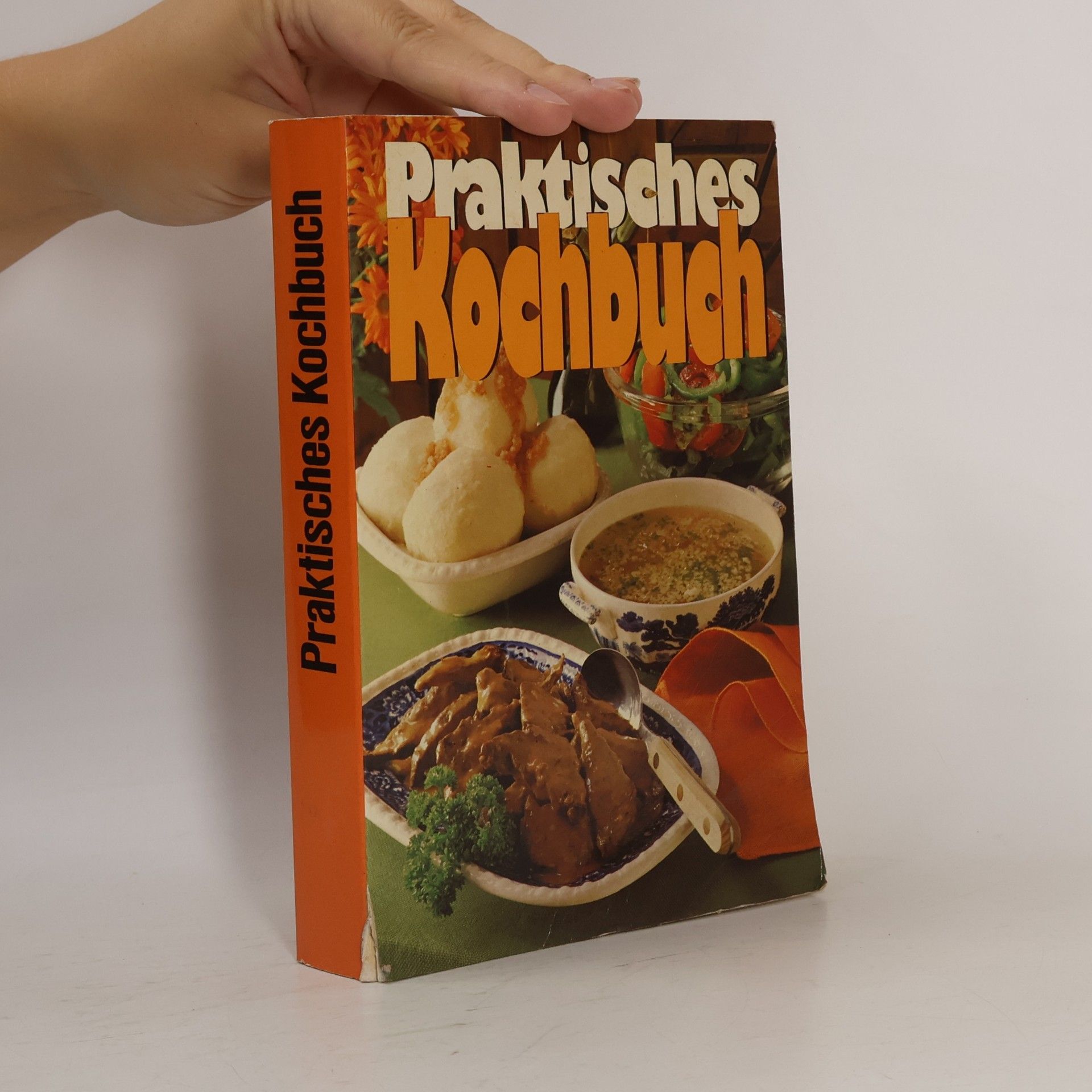 Marianne Nicolin Praktisches Kochbuch