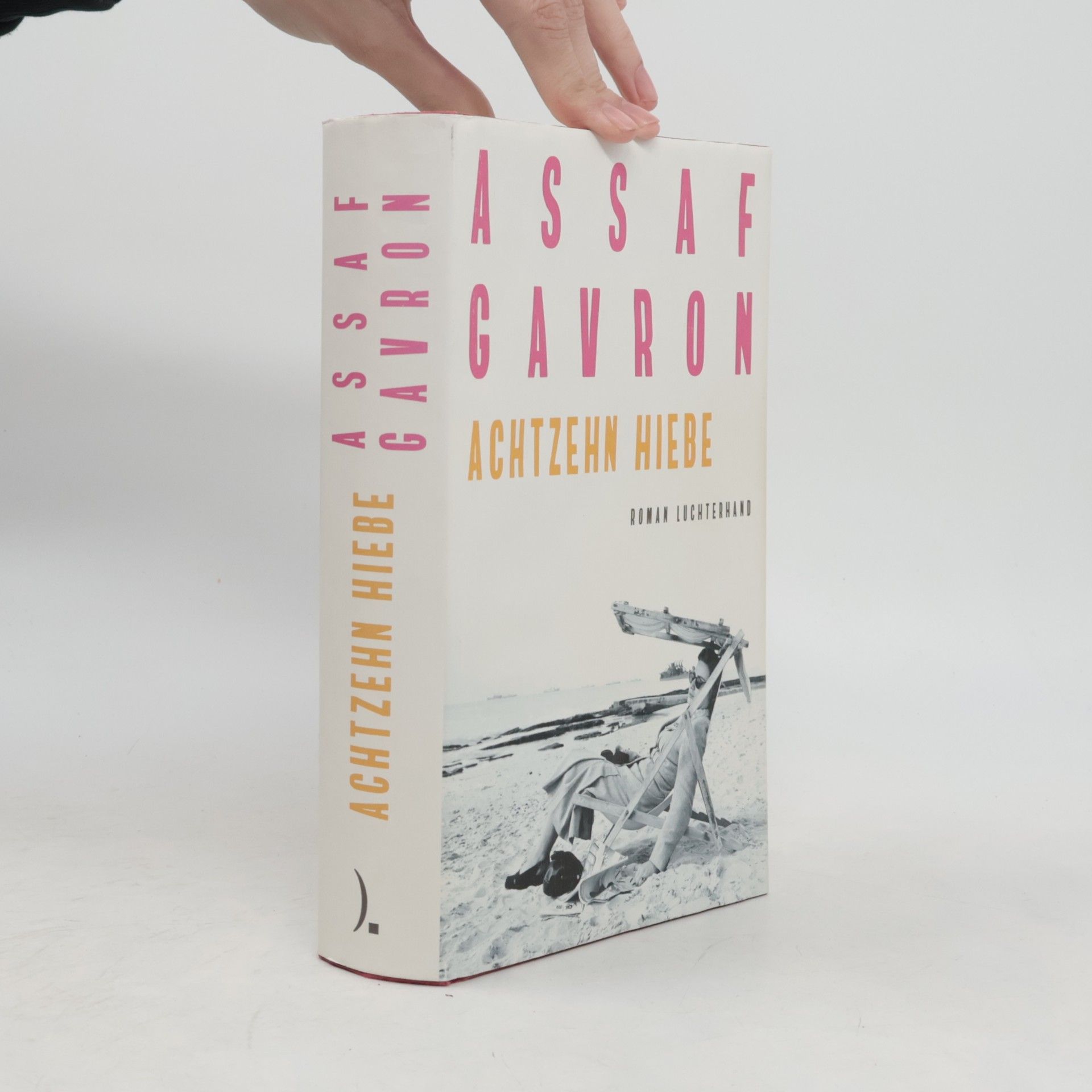 Assaf Gavron Achtzehn Hiebe