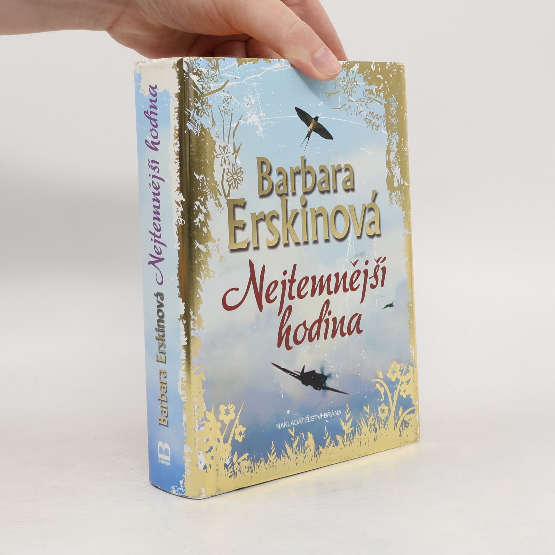 Barbara Erskine Nejtemnější hodina