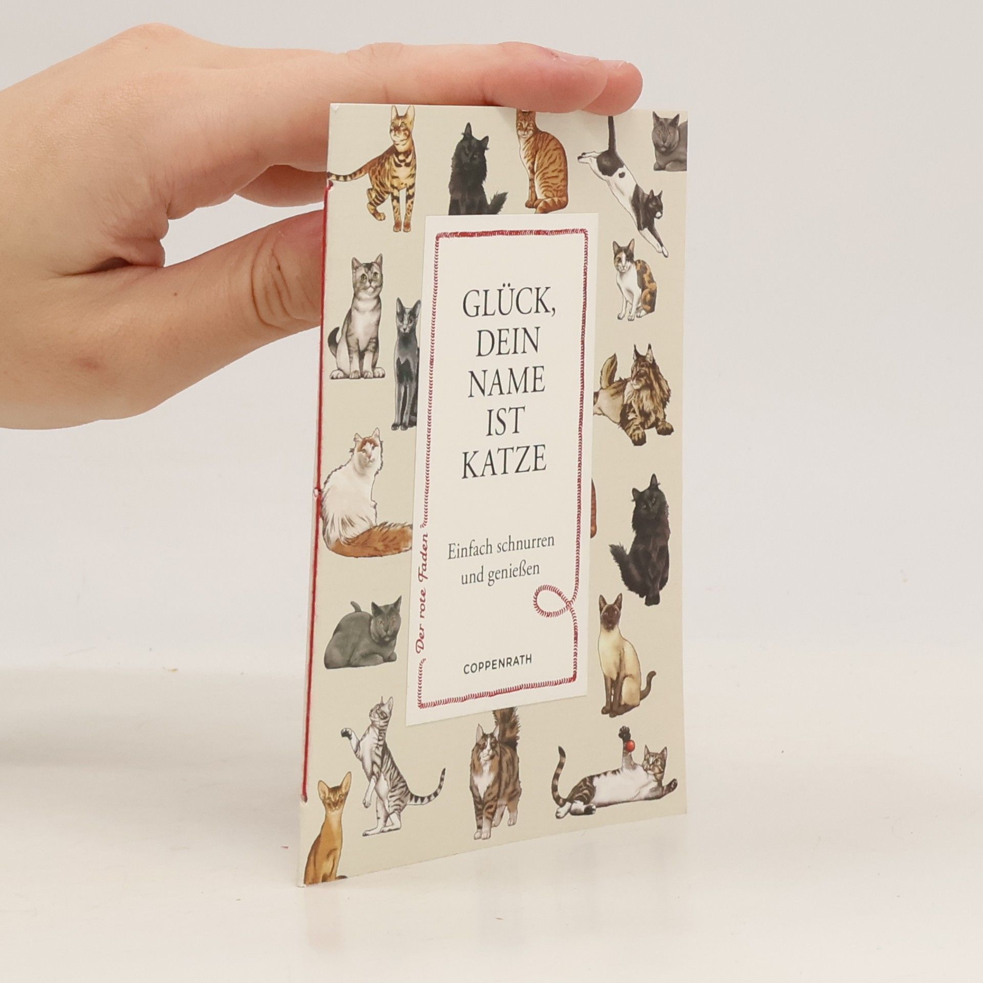 Glück, dein Name ist Katze. Einfach schnurren und genießen