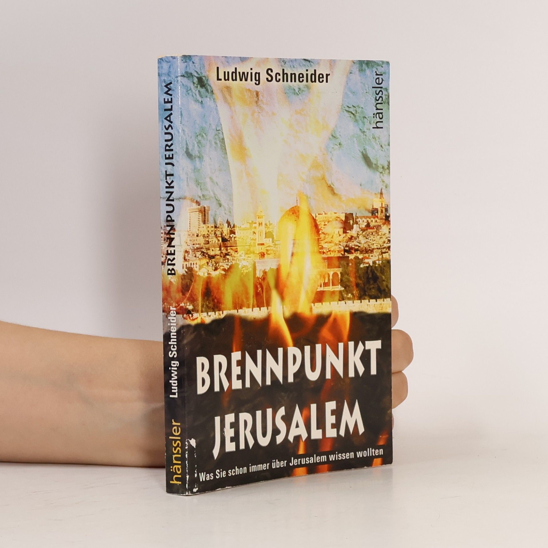 Ludwig Schneider Brennpunkt Jerusalem