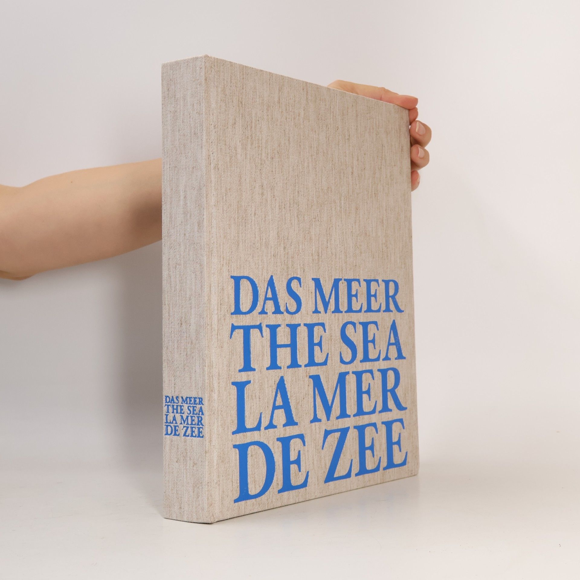 Phillip van den Bossche Das Meer