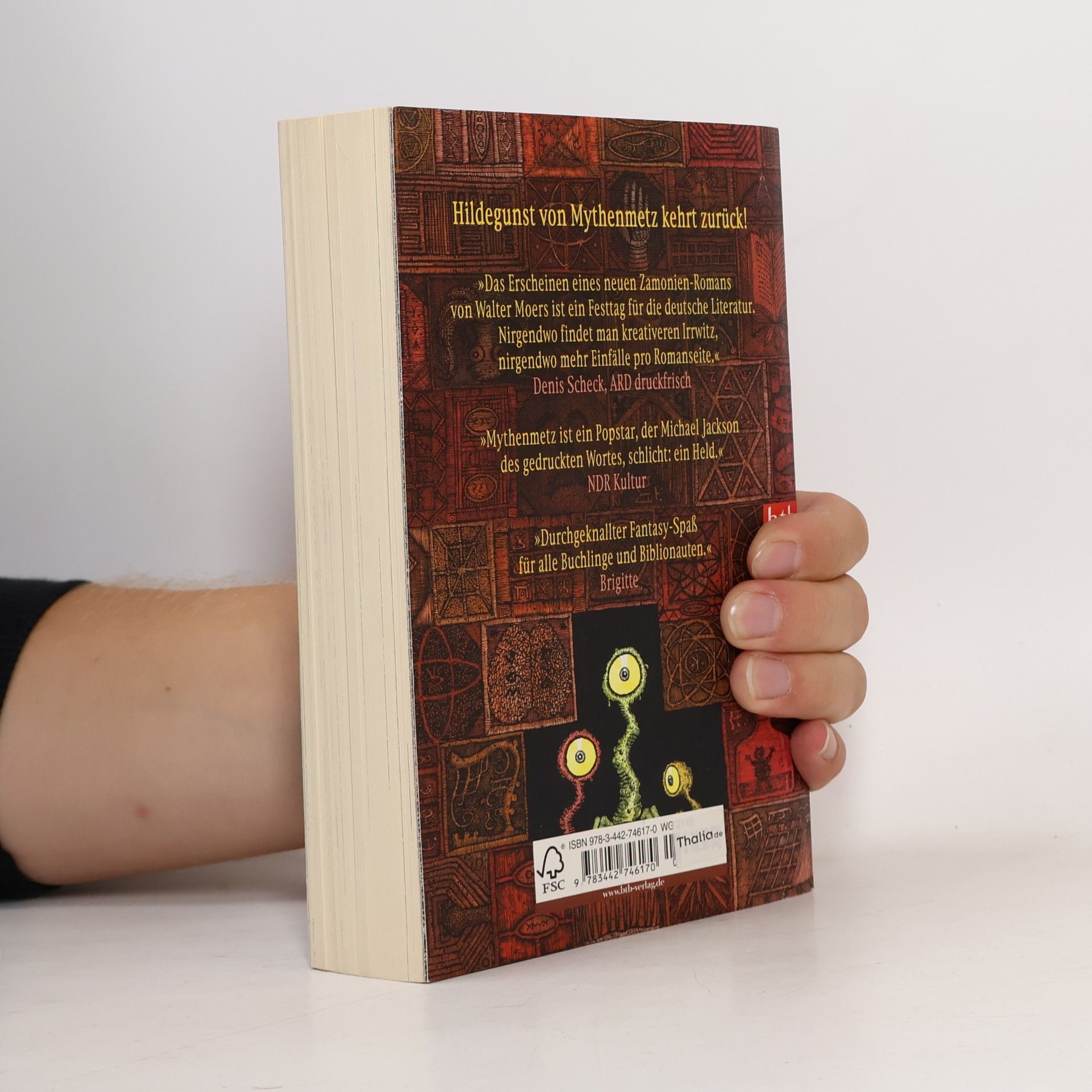 Walter Moers Das Labyrinth der Träumenden Bücher