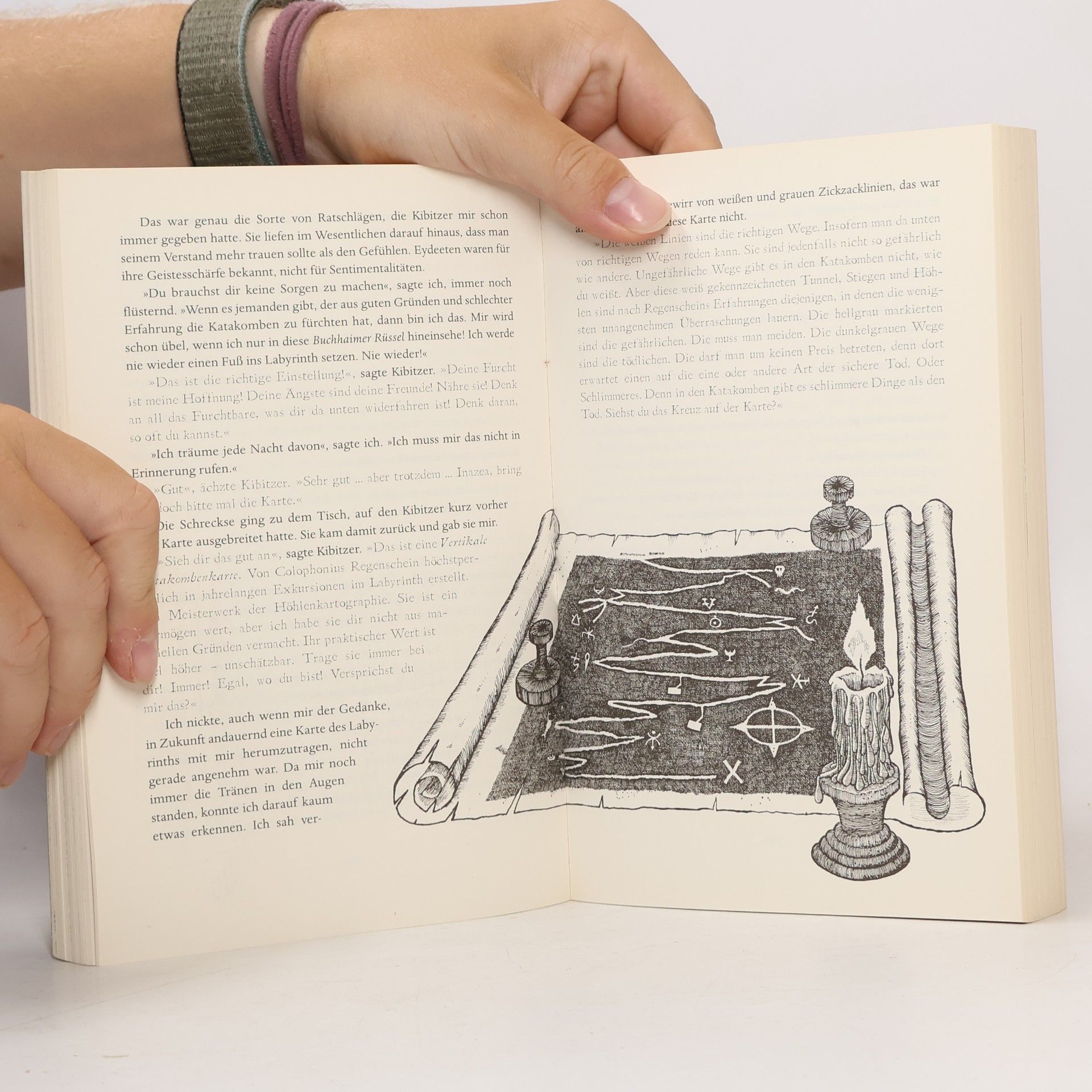 Walter Moers Das Labyrinth der Träumenden Bücher