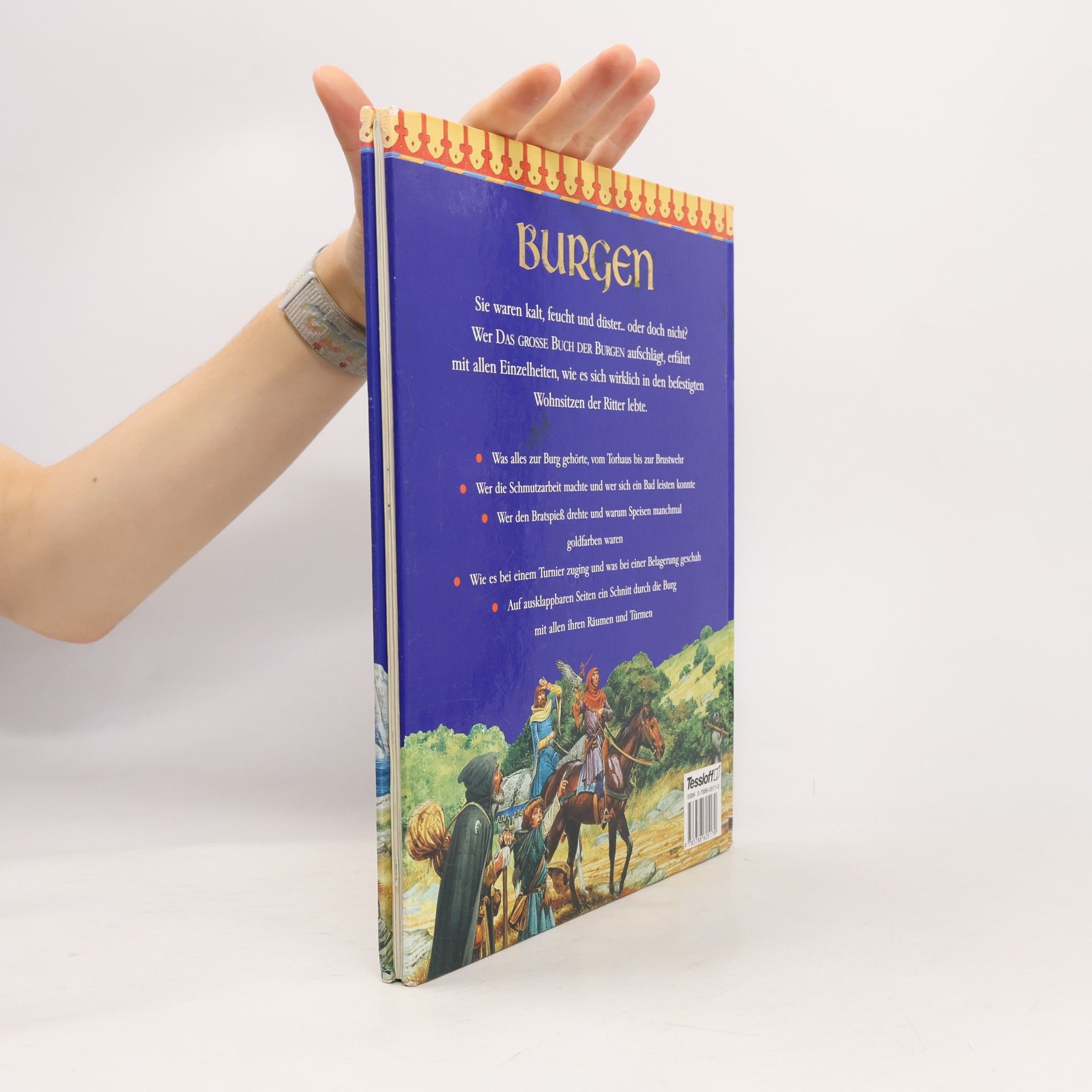 Philip Steele Das grosse Buch der Burgen