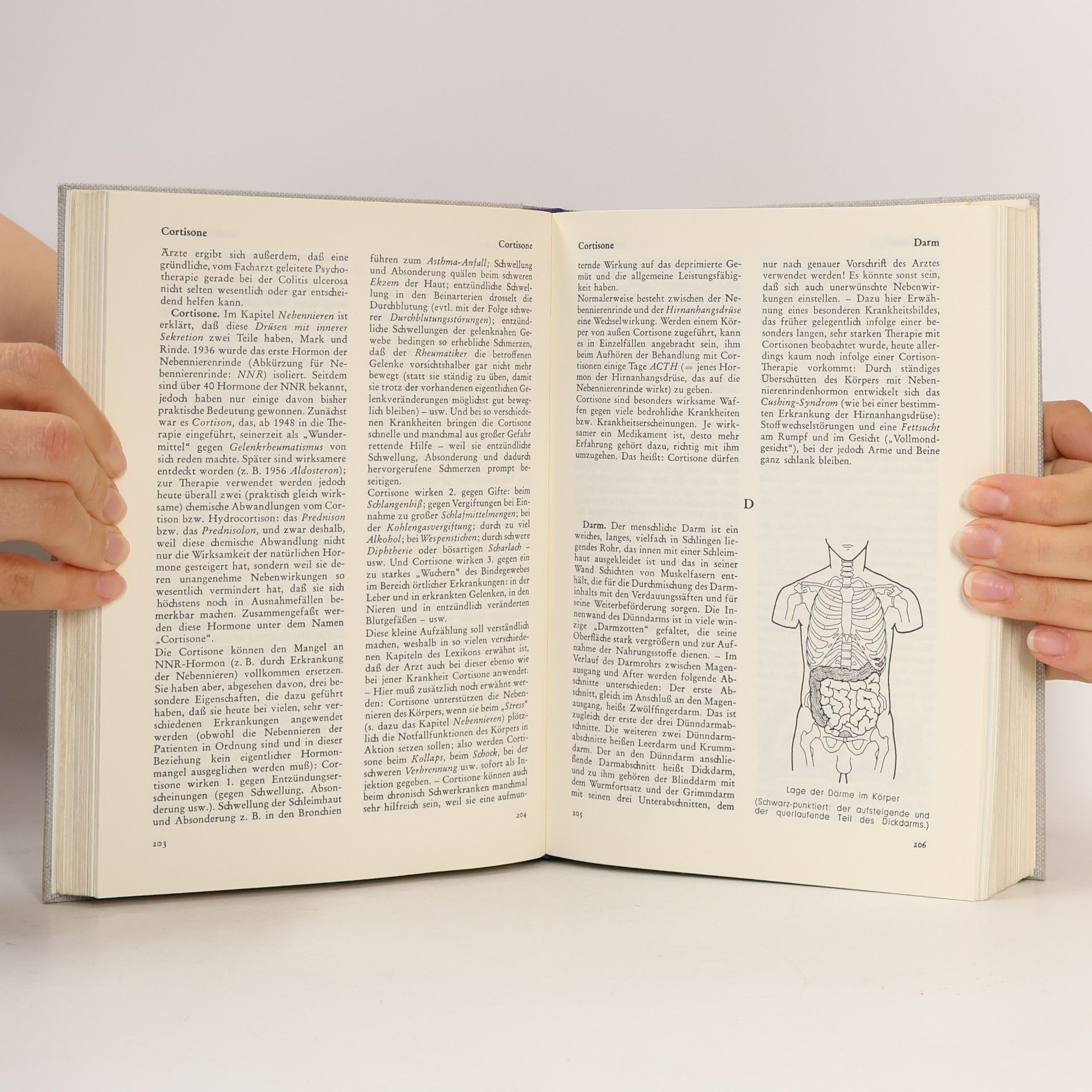 Autorenkollektiv Knaurs Gesundheits lexikon