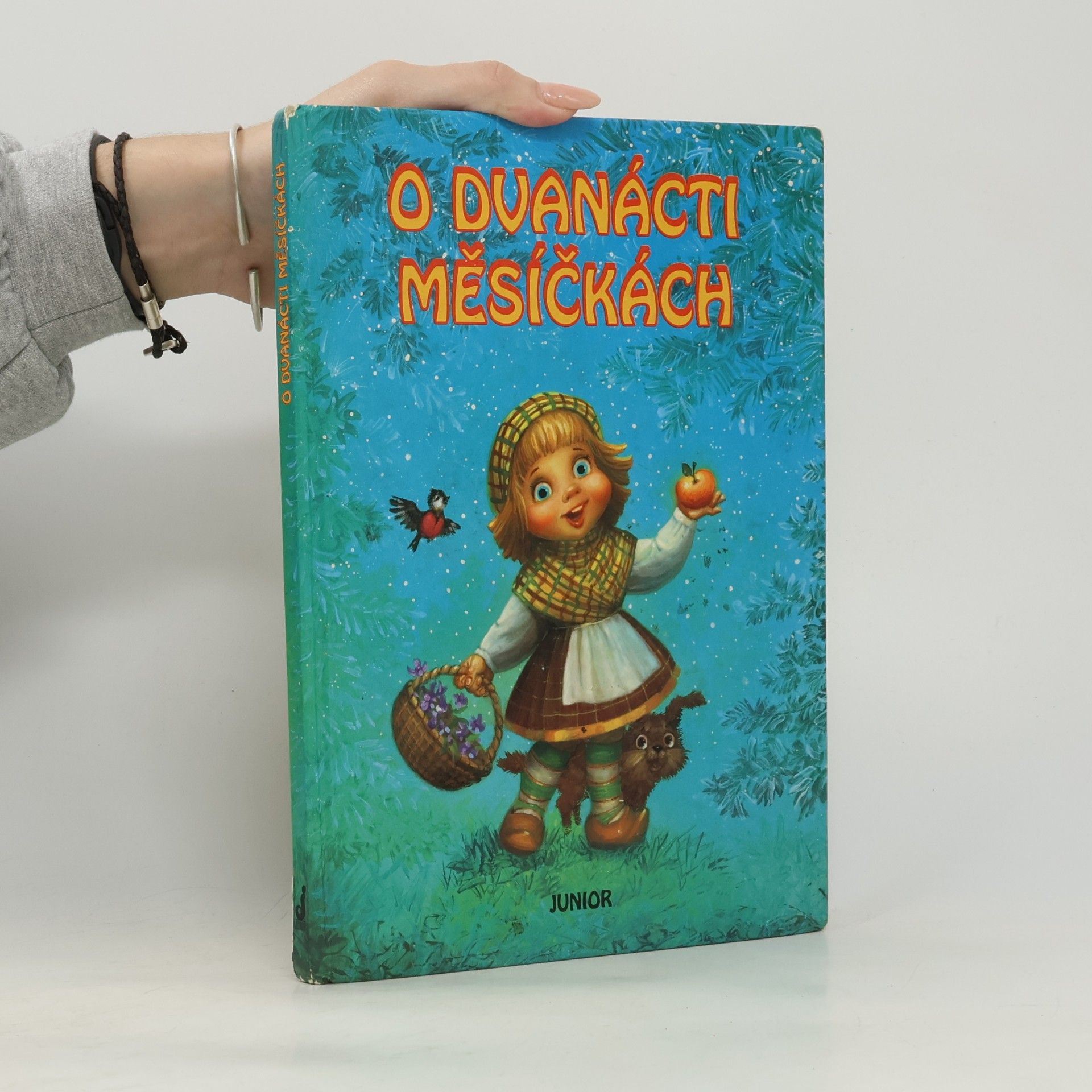 Světlana Borisovová O dvanácti měsíčkách