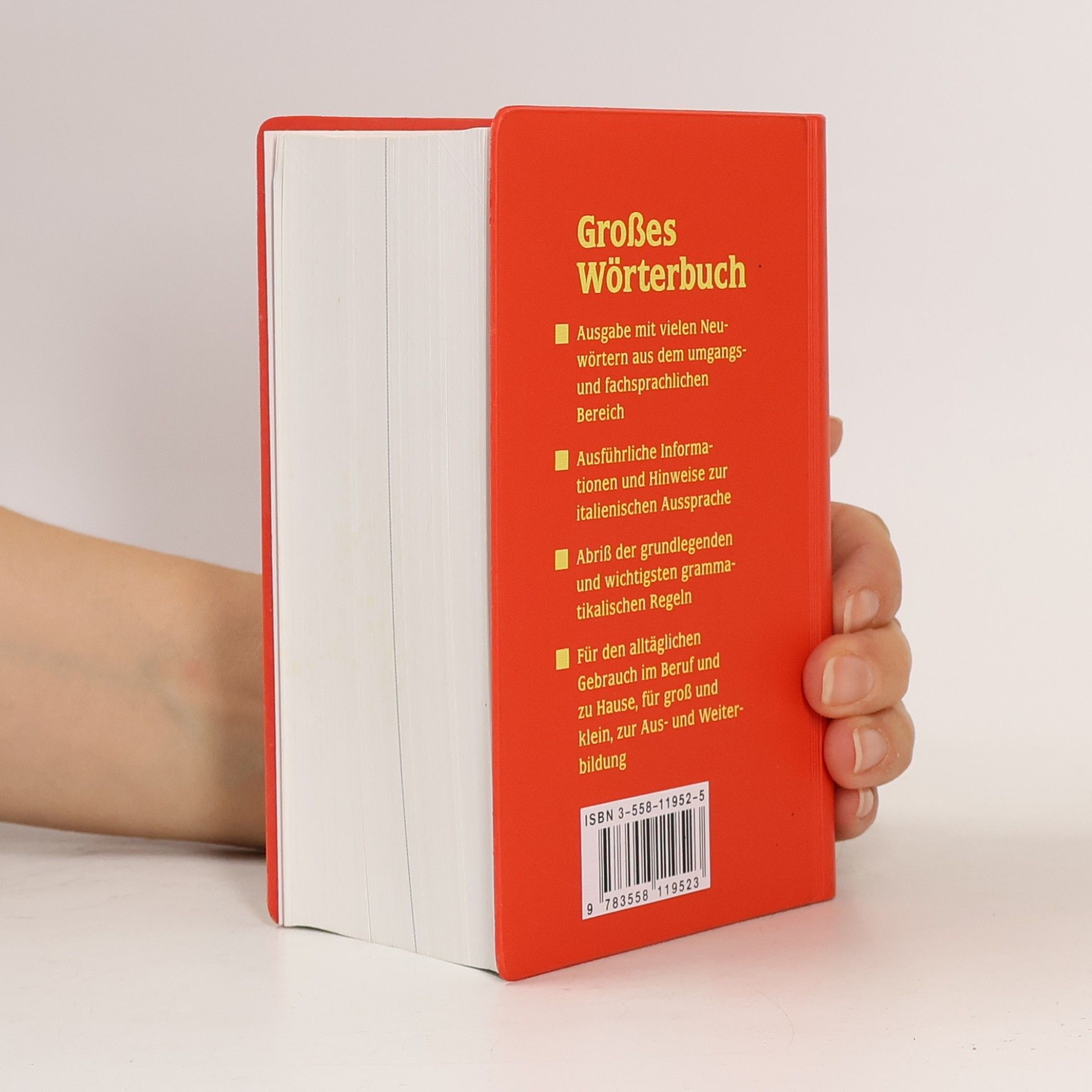 Großes Wörterbuch Italienisch