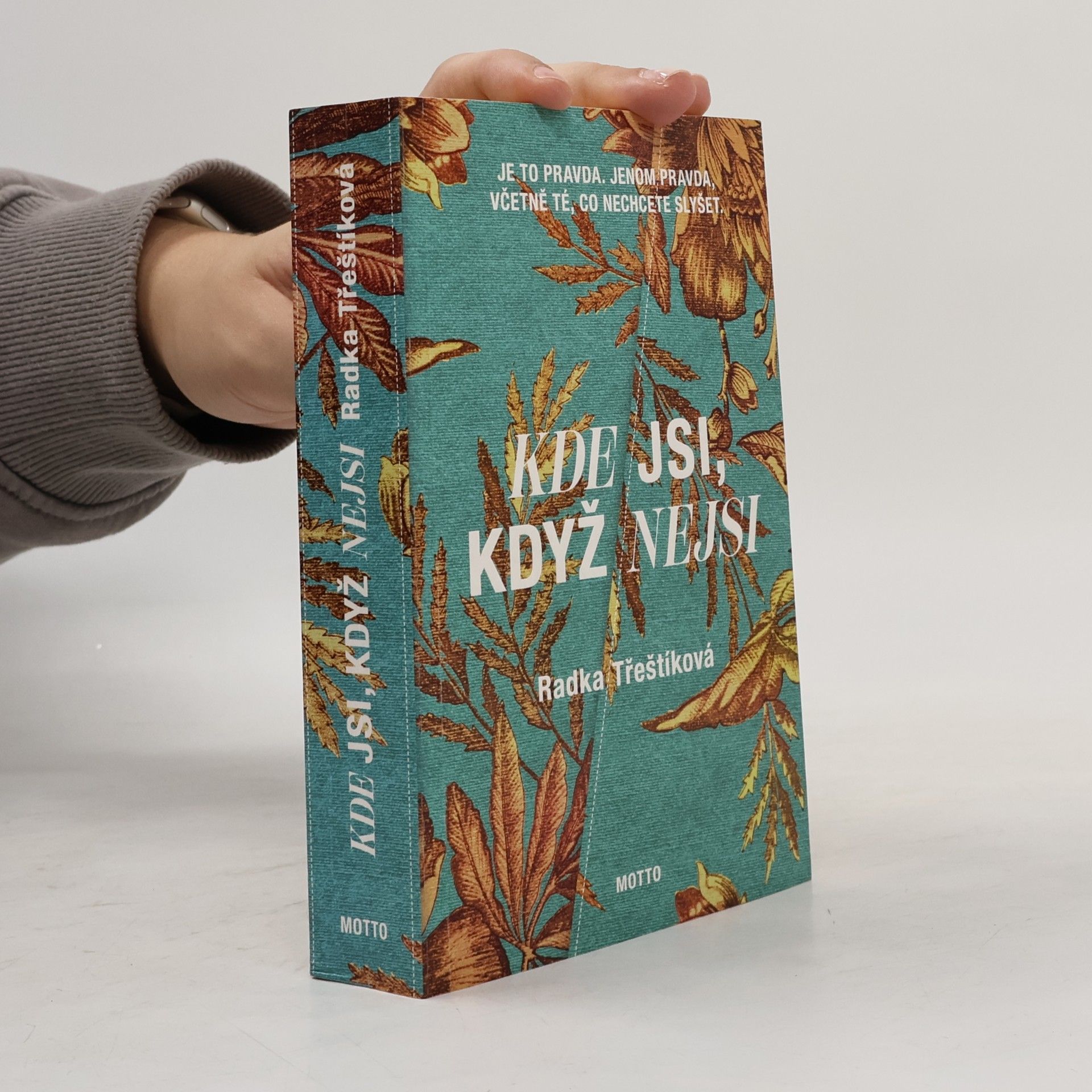 Radka Třeštíková Kde jsi, když nejsi