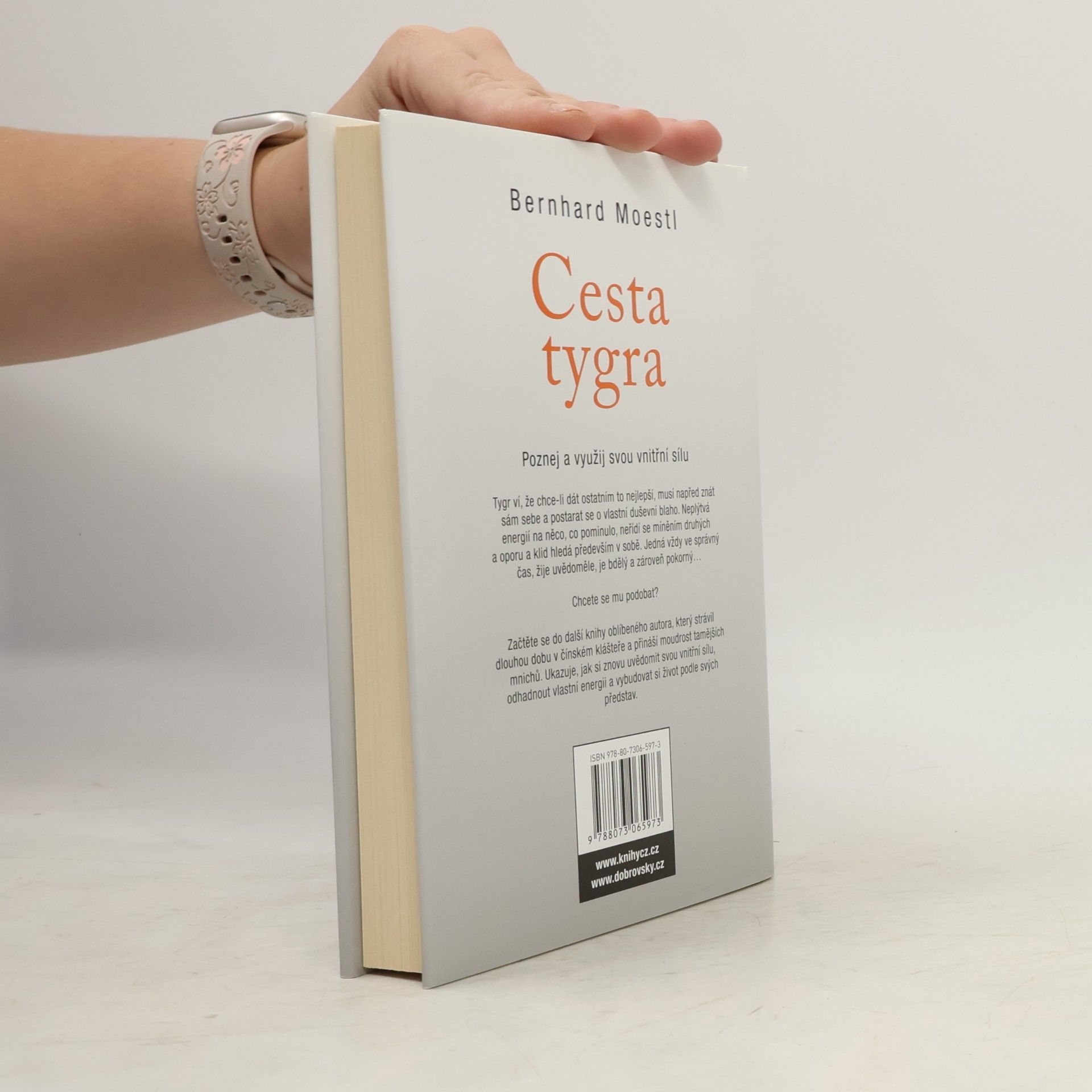 Bernhard Moestl Cesta tygra: Poznej a využij svou vnitřní sílu