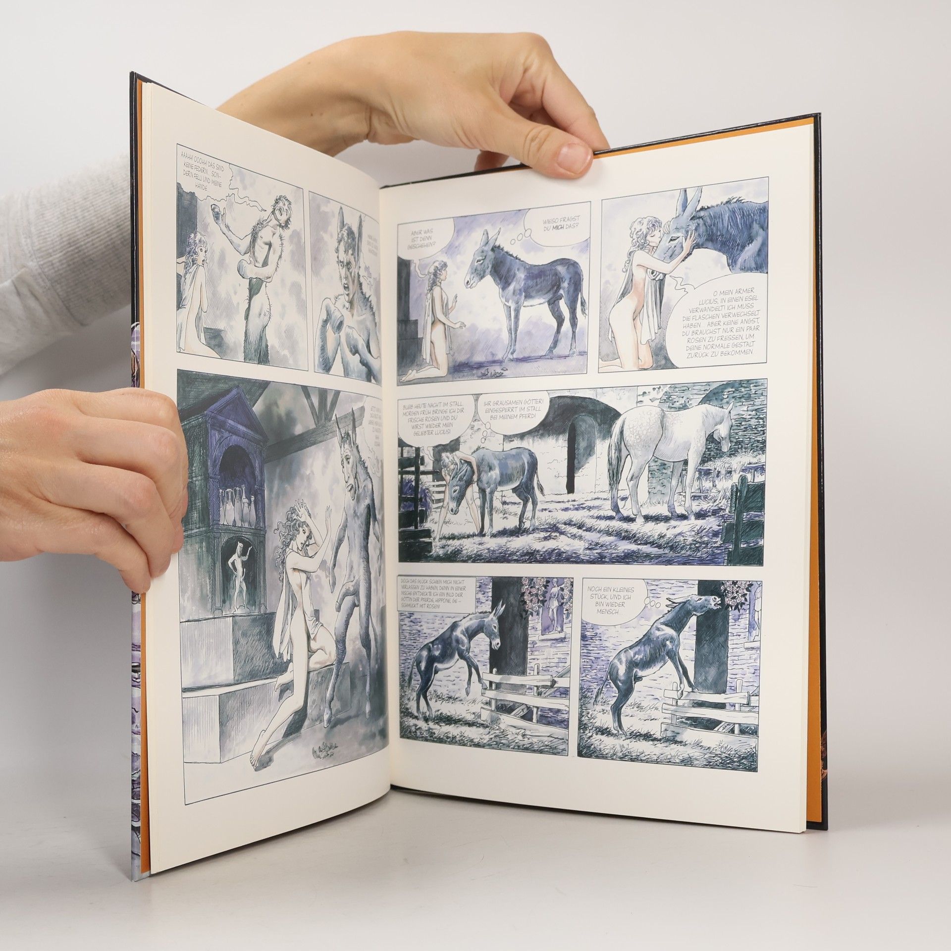 Milo Manara Der Goldene Esel
