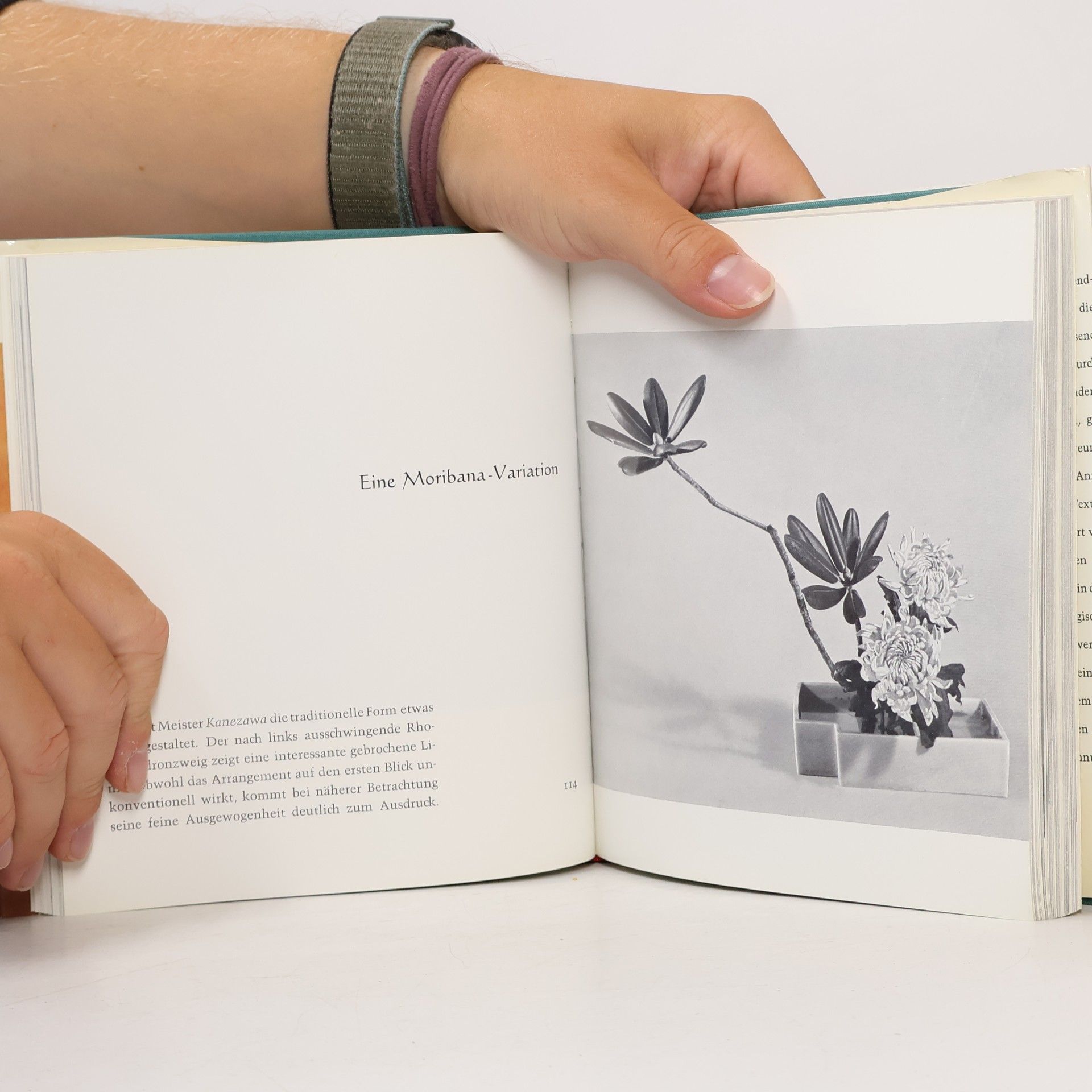 Tatsuo Ishimoto Japanische Blumenkunst