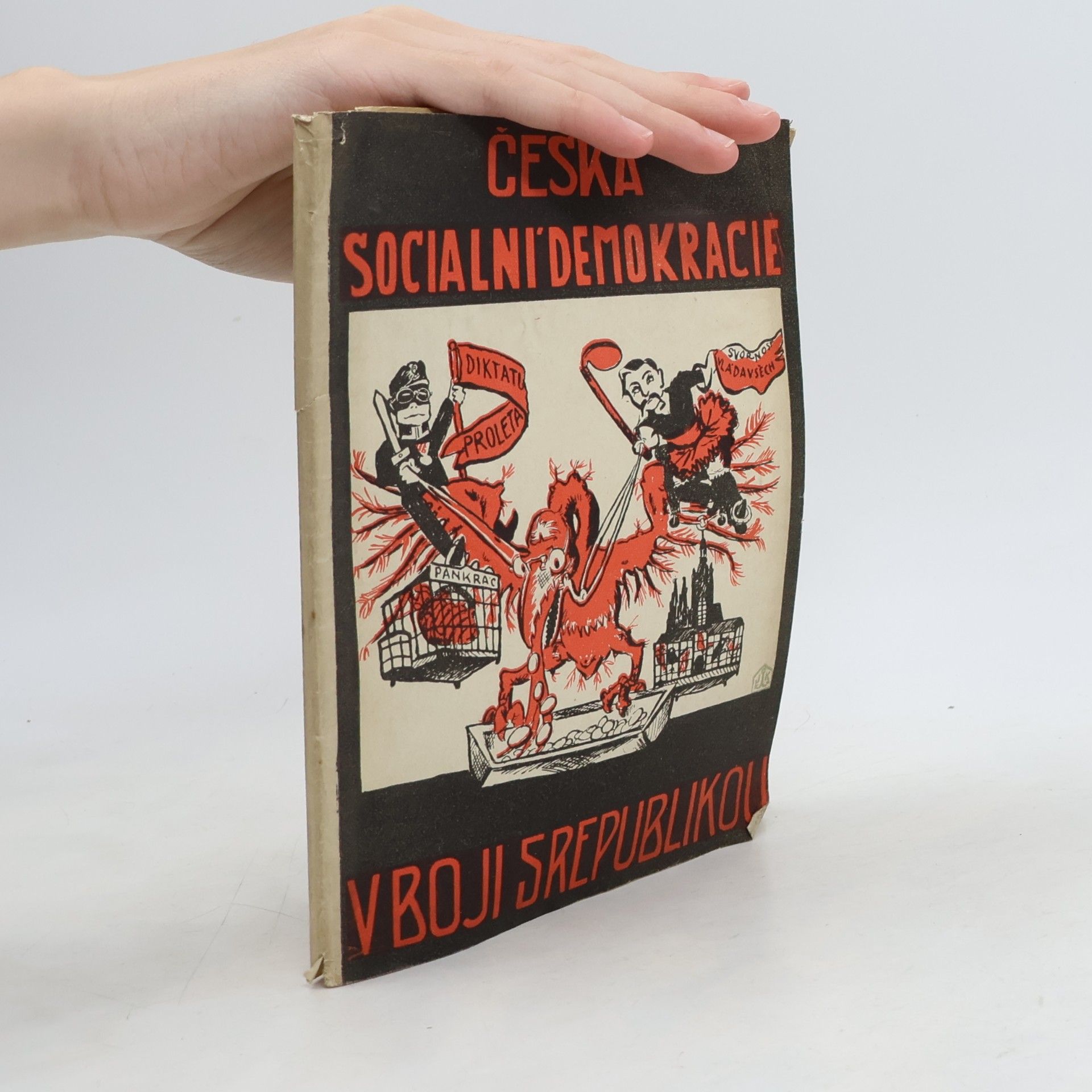 Česká sociální demokracie v boji s republikou