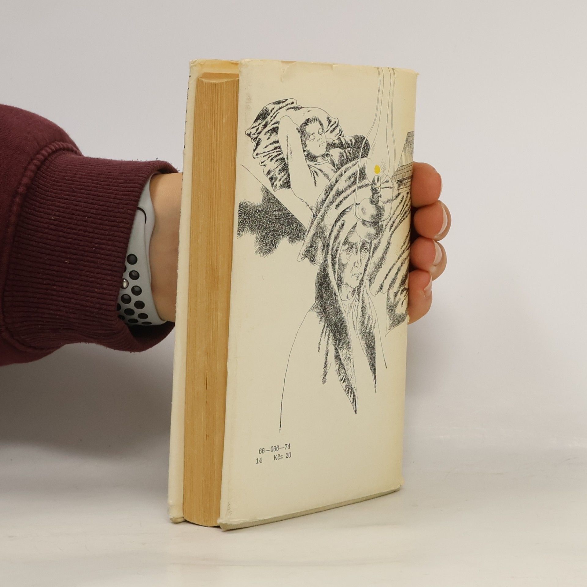 Elena Čepčeková Nezabudni, Monika