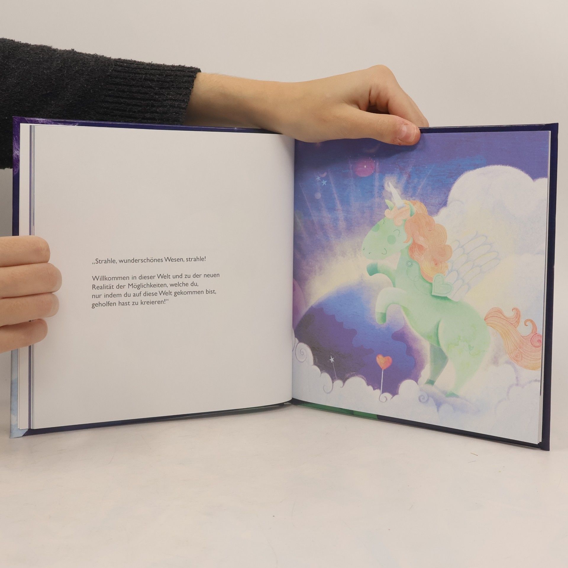 Dain Heer Das Babyeinhorn Manifest - Baby Unicorn German