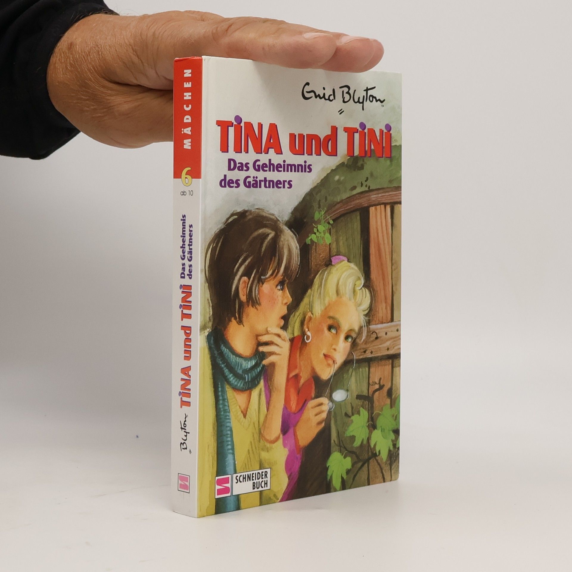 Enid Blyton Tina und Tini - Das Geheimnis des Gärtners