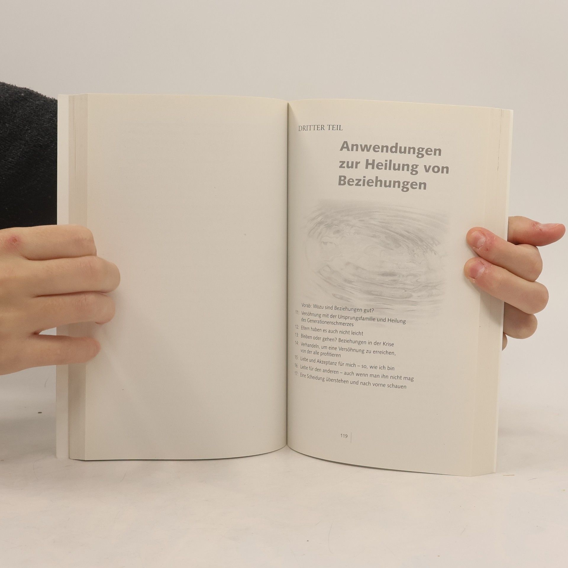 Colin C. Tipping Ich vergebe - Das Praxisbuch