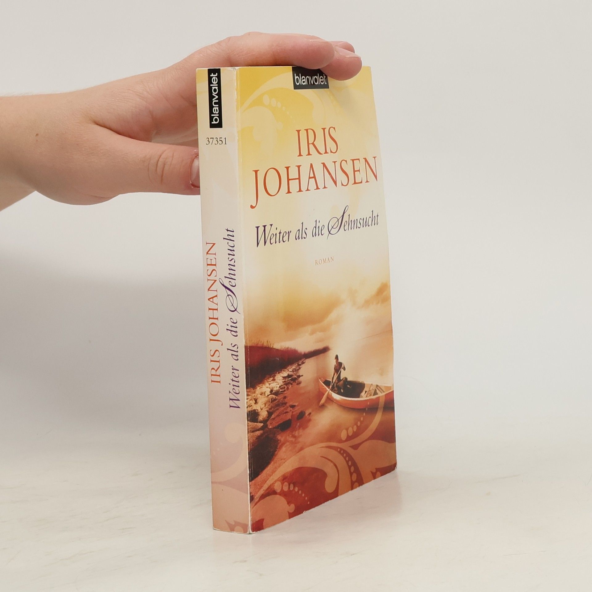 Weiter als die Sehnsucht. Roman