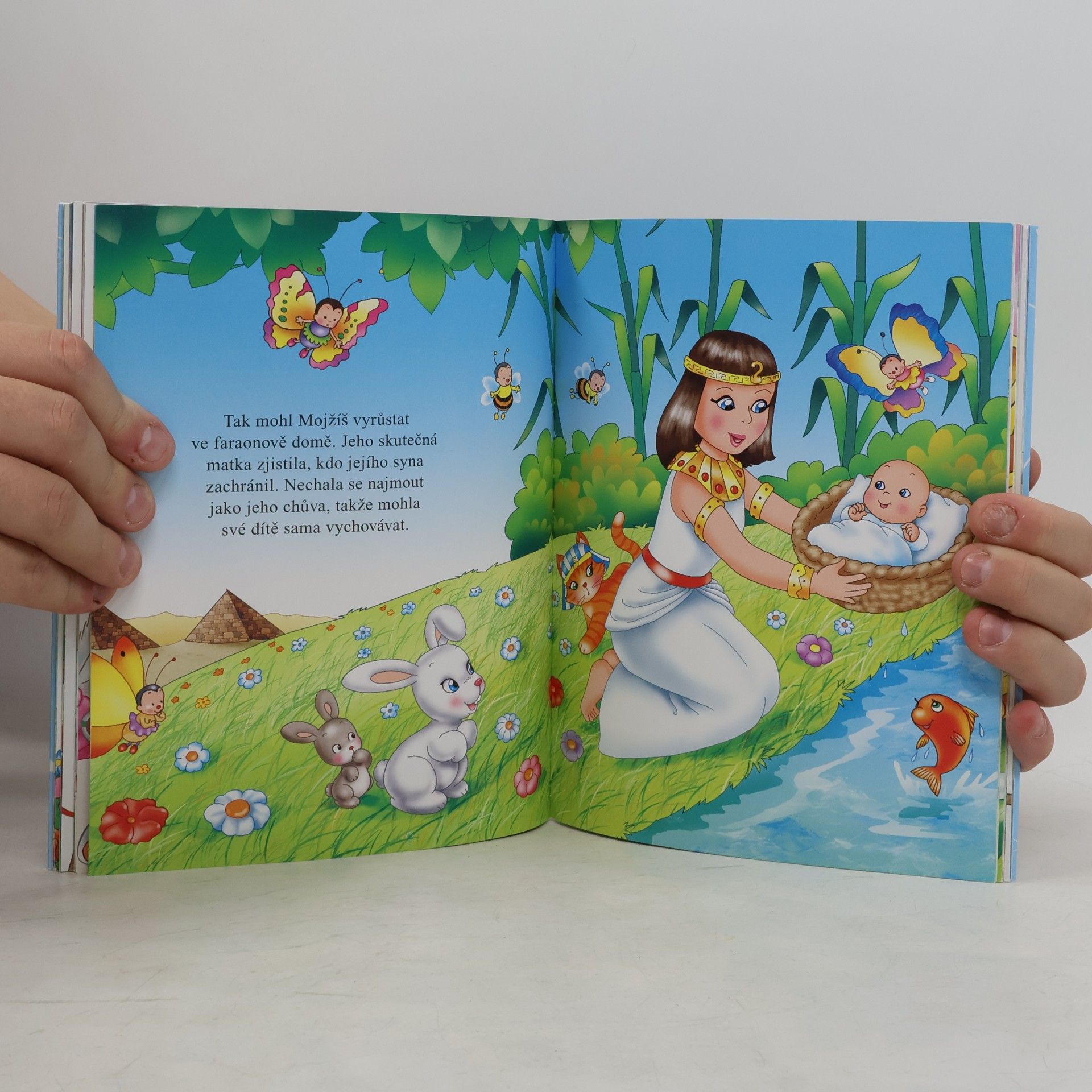 Lorella Flamini Moje první čtení: Biblické příběhy