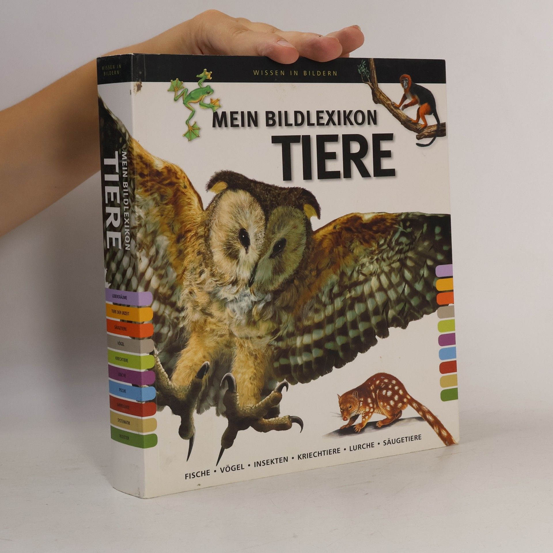 Auteurscollectief Mein Bildlexikon Tiere