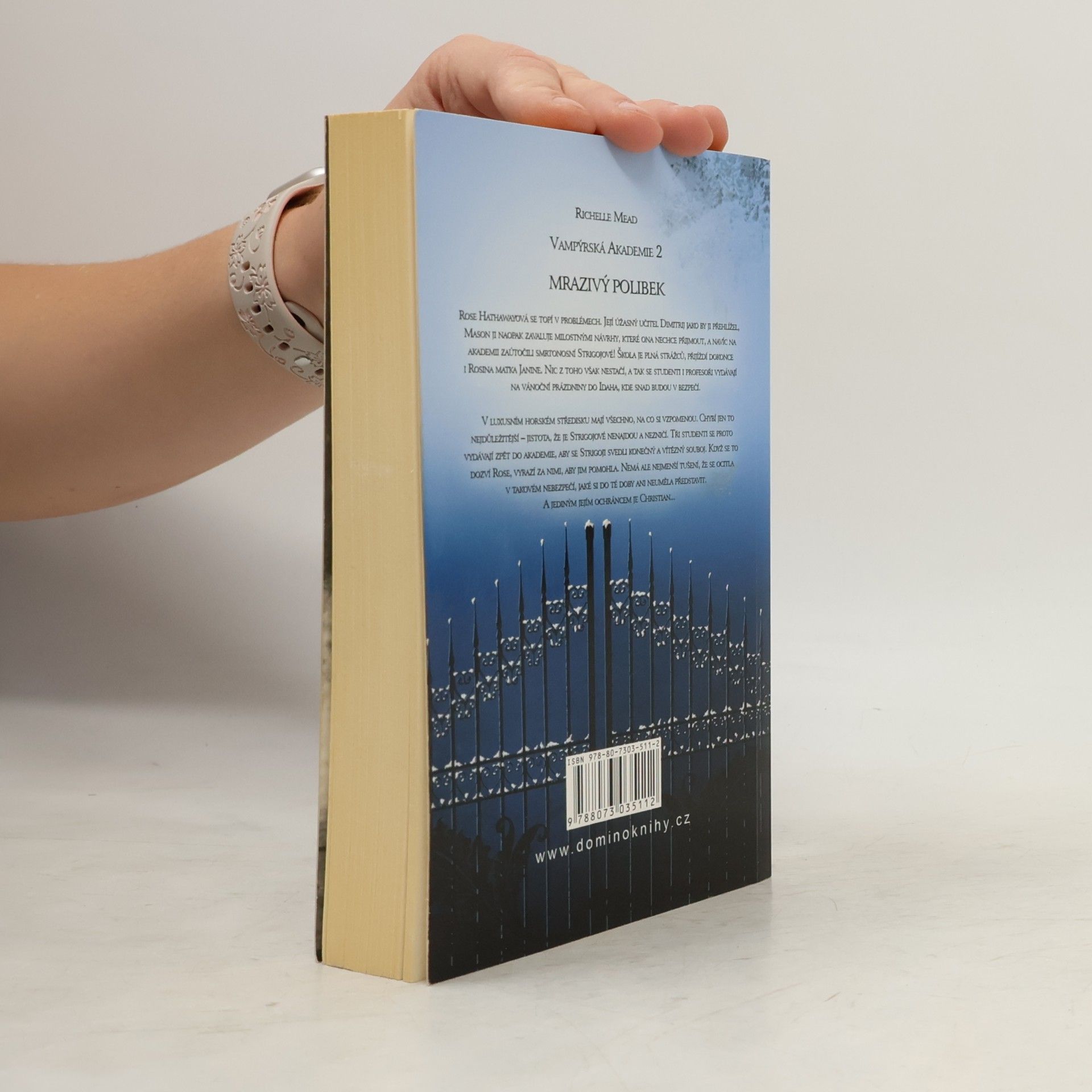 Richelle Mead Vampýrská akademie 2: Mrazivý polibek