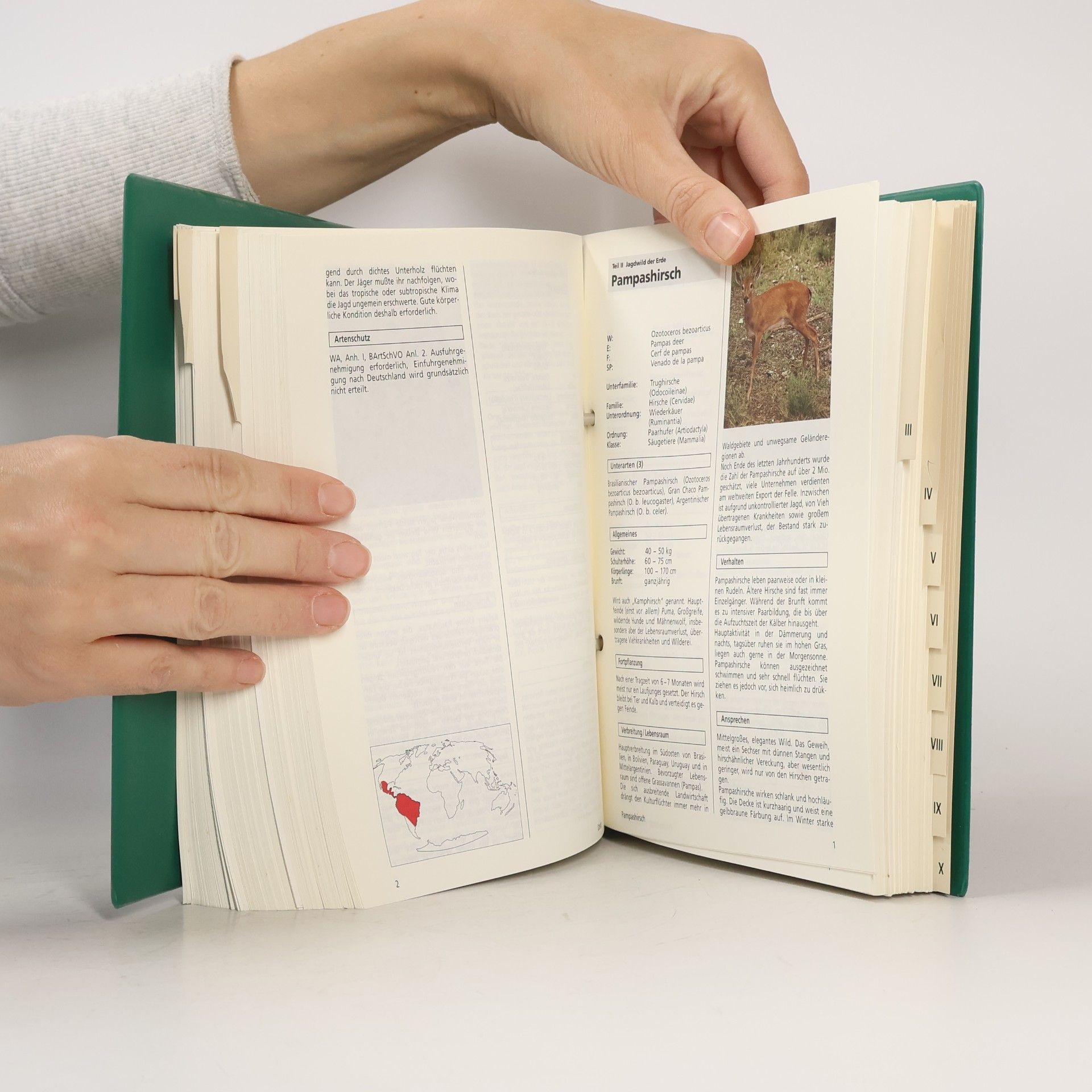 Dr. Egon Lechner Jagd Reisen weltweit: Handbuch der Auslandsjagd
