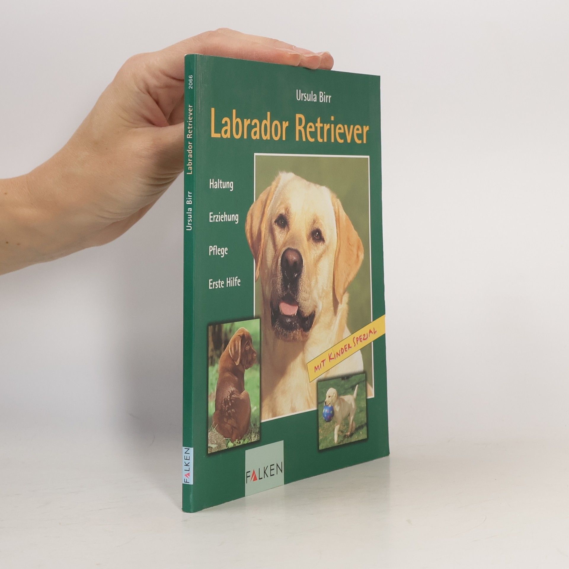 Ursula Birr Labrador Retriever