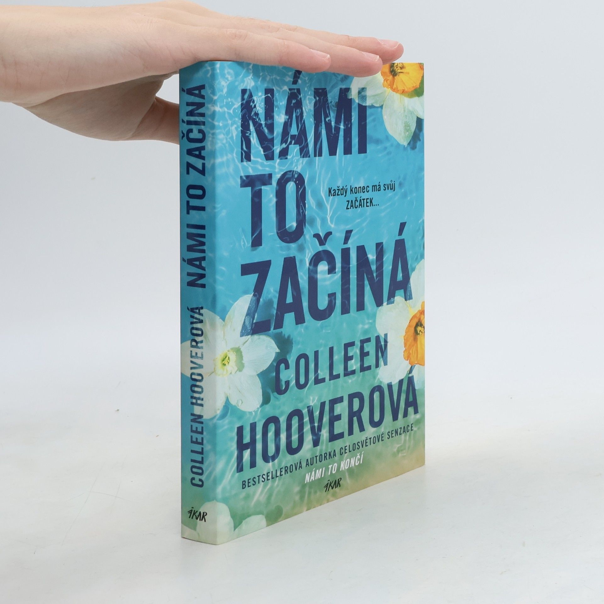 Colleen Hoover Námi to začíná