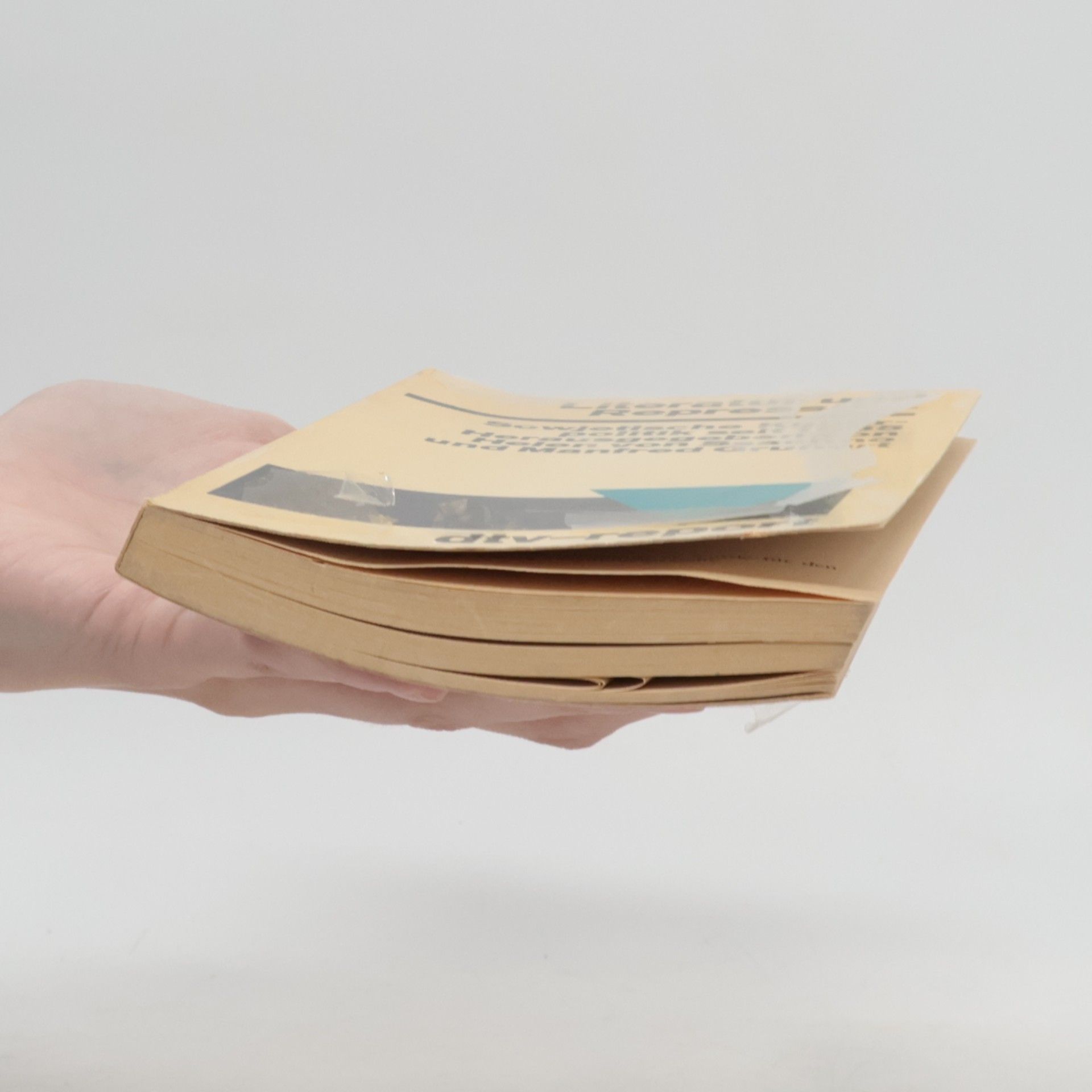 Helen von Ssachno Literatur und Repression