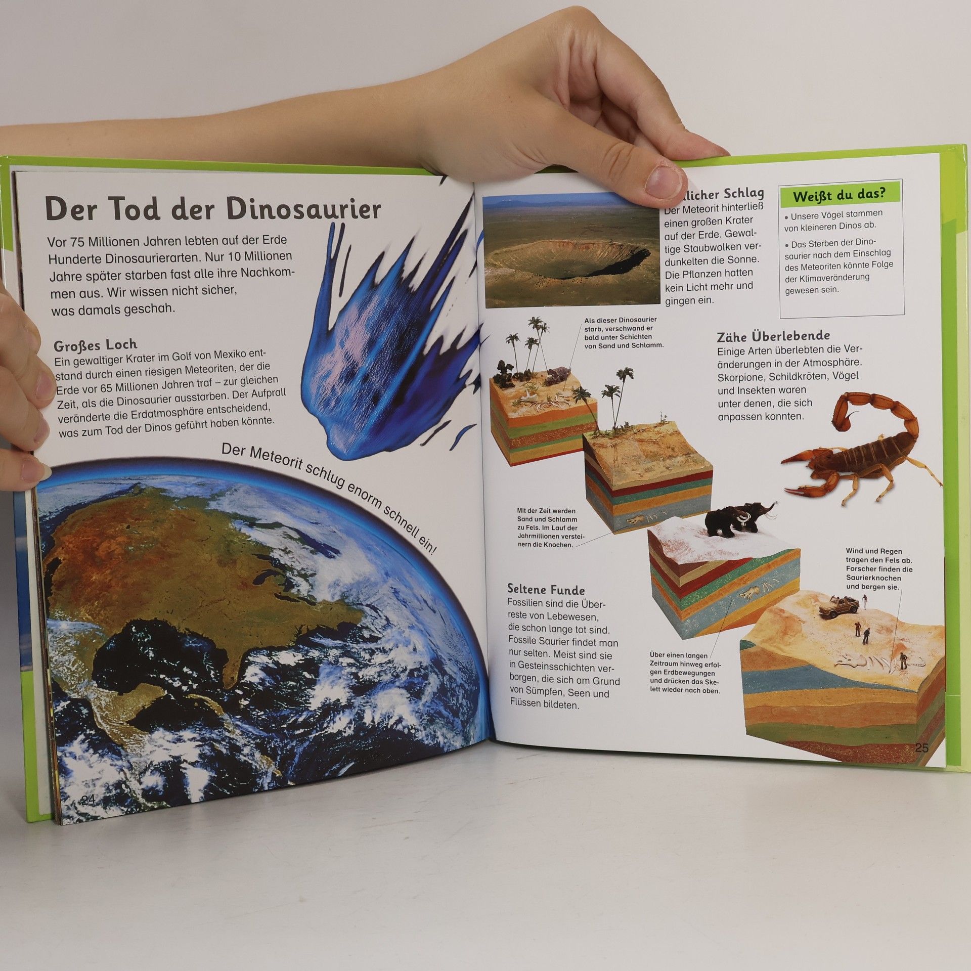 kolektiv Dinosaurier
