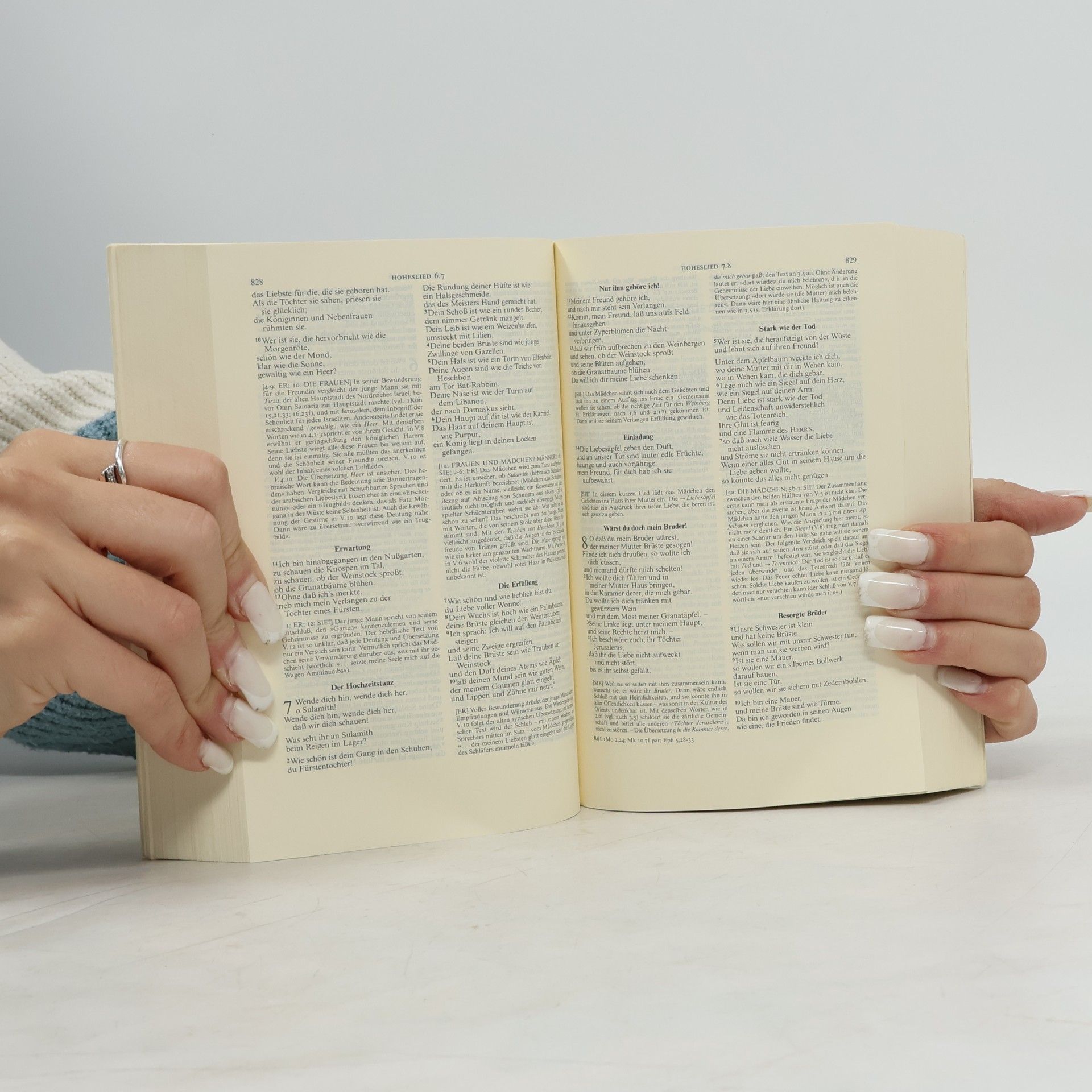 Martin Luther Stuttgarter Erklärungsbibel