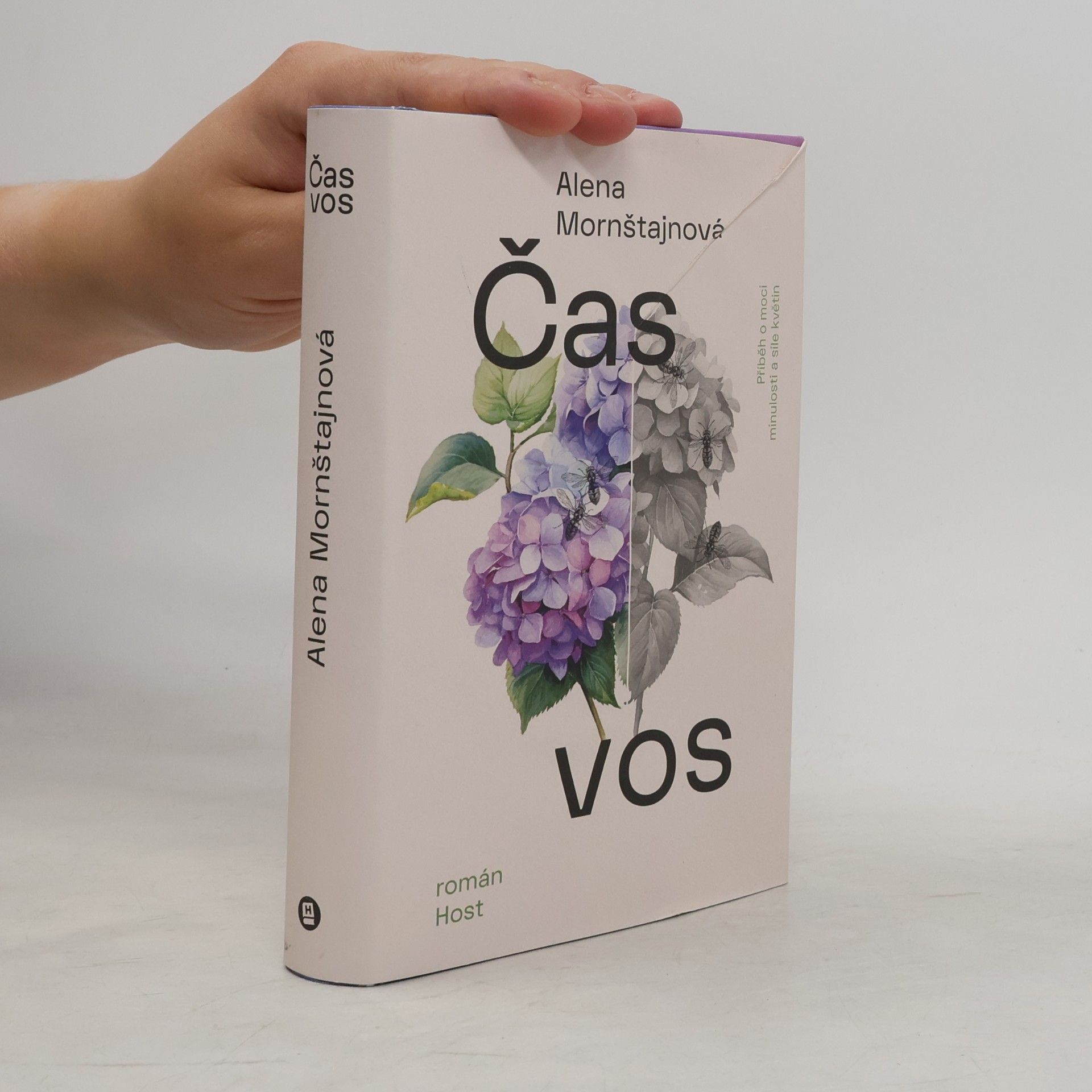 Alena Mornštajnová Čas vos