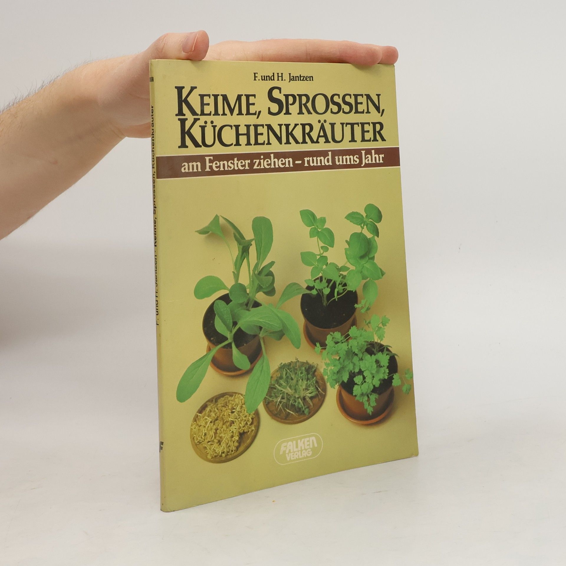 Friedrich Jantzen Keime, Sprossen, Küchenkräuter am Fenster ziehen - rund ums Jahr
