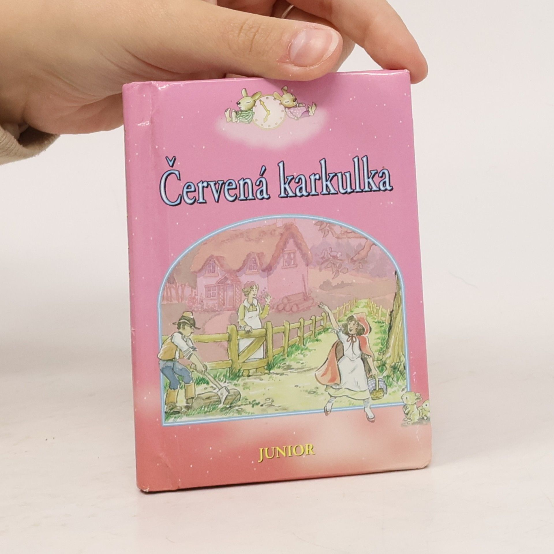 Autorenkollektiv Červená karkulka